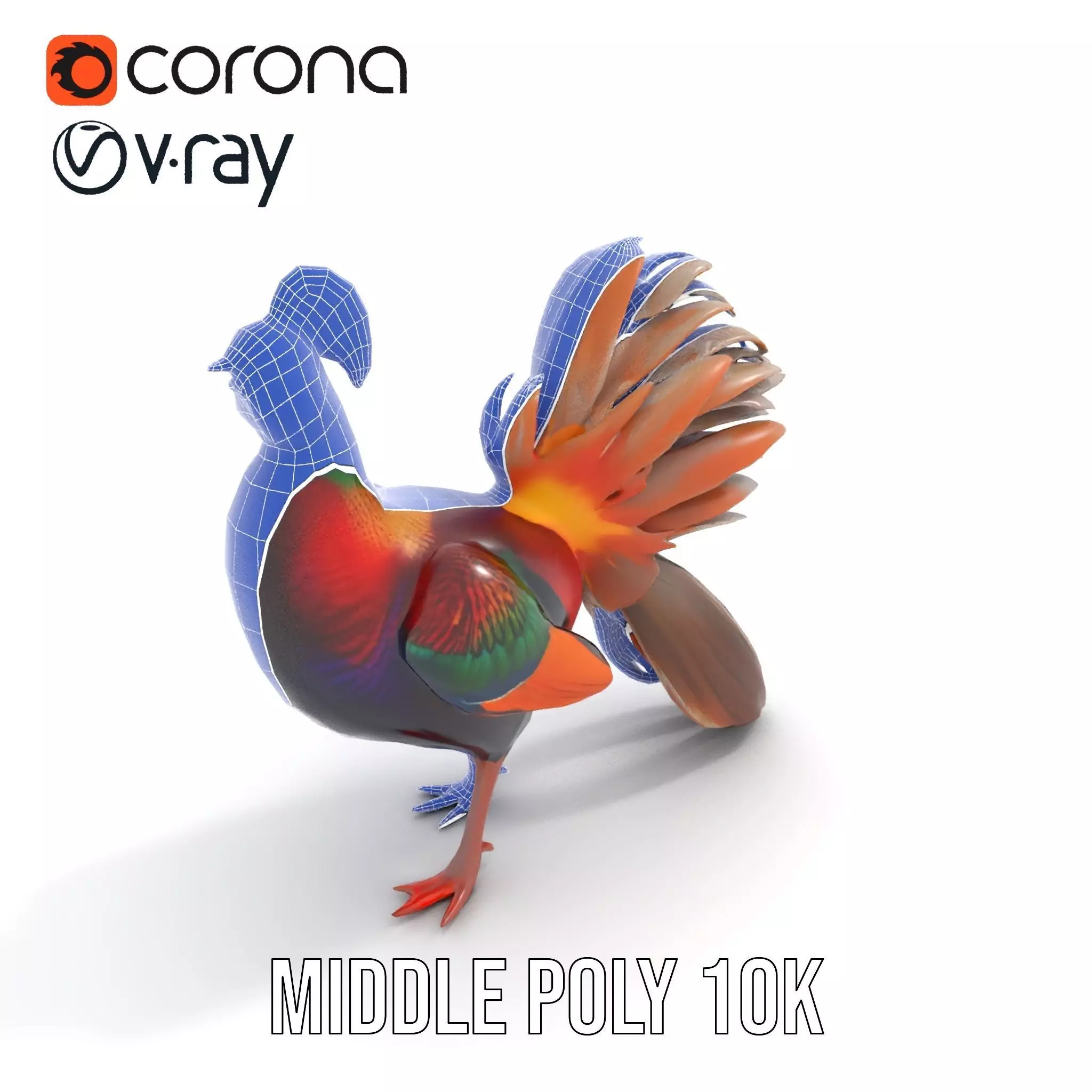 Vibrant Pheasant model pack Low-poly 3D model_13