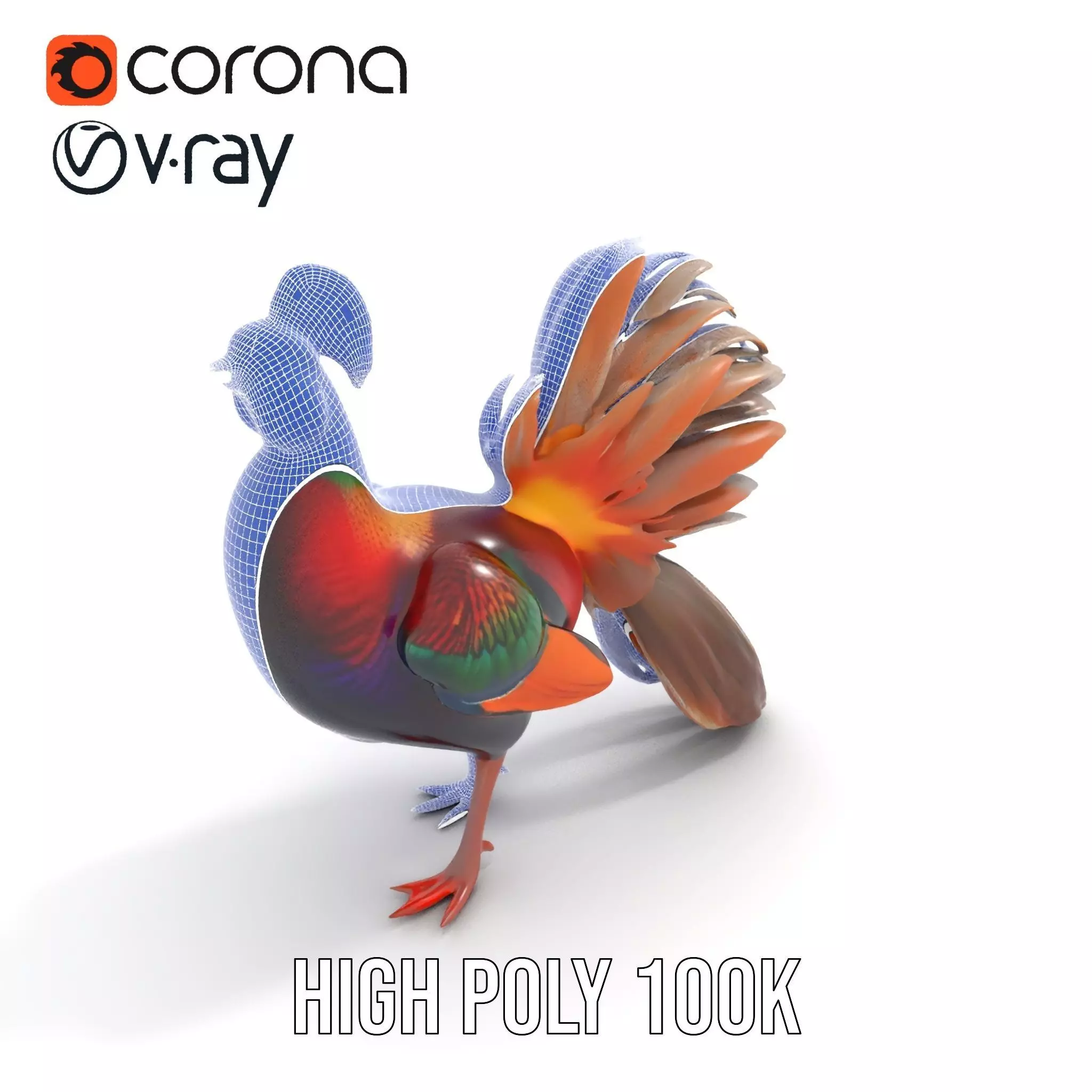 Vibrant Pheasant model pack Low-poly 3D model_32