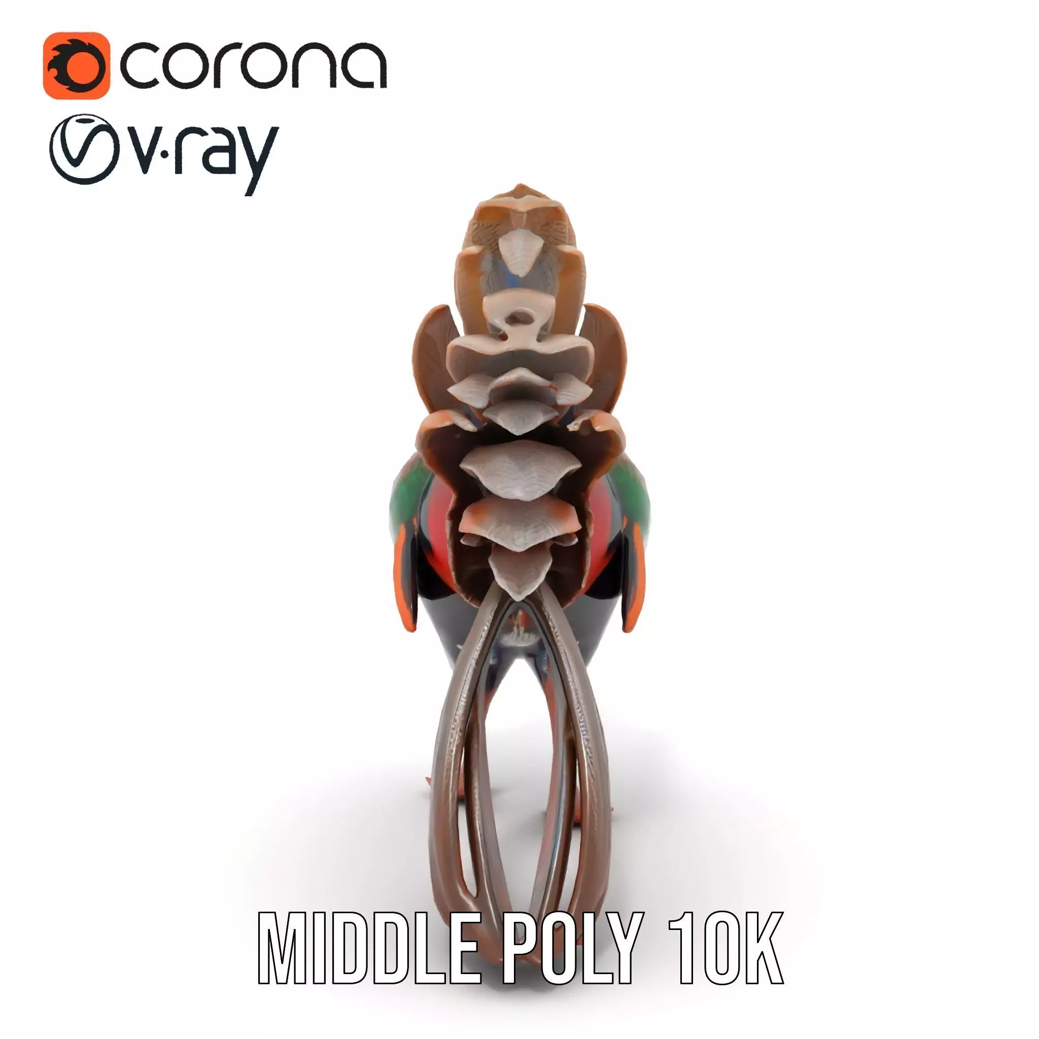 Vibrant Pheasant model pack Low-poly 3D model_24