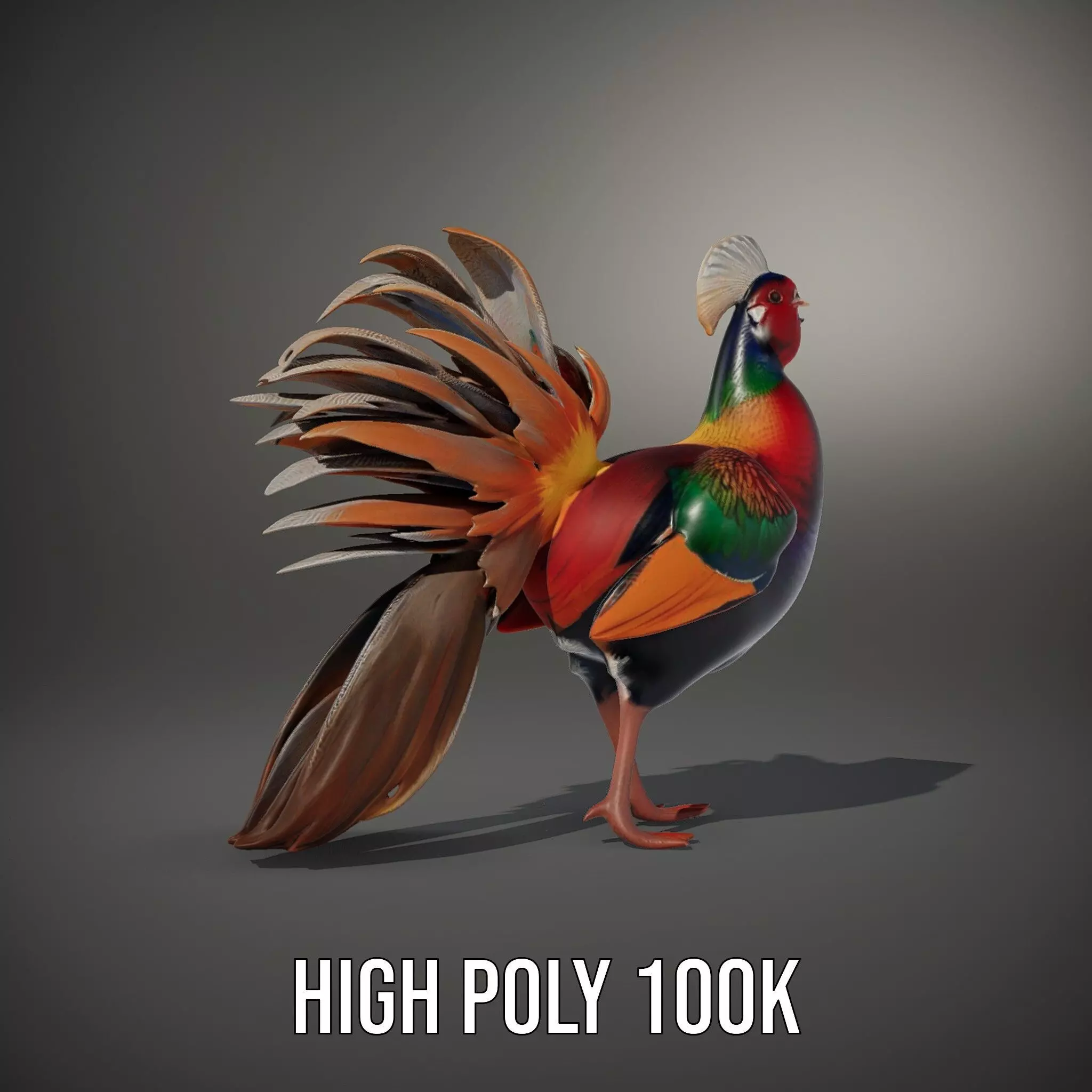 Vibrant Pheasant model pack Low-poly 3D model_8