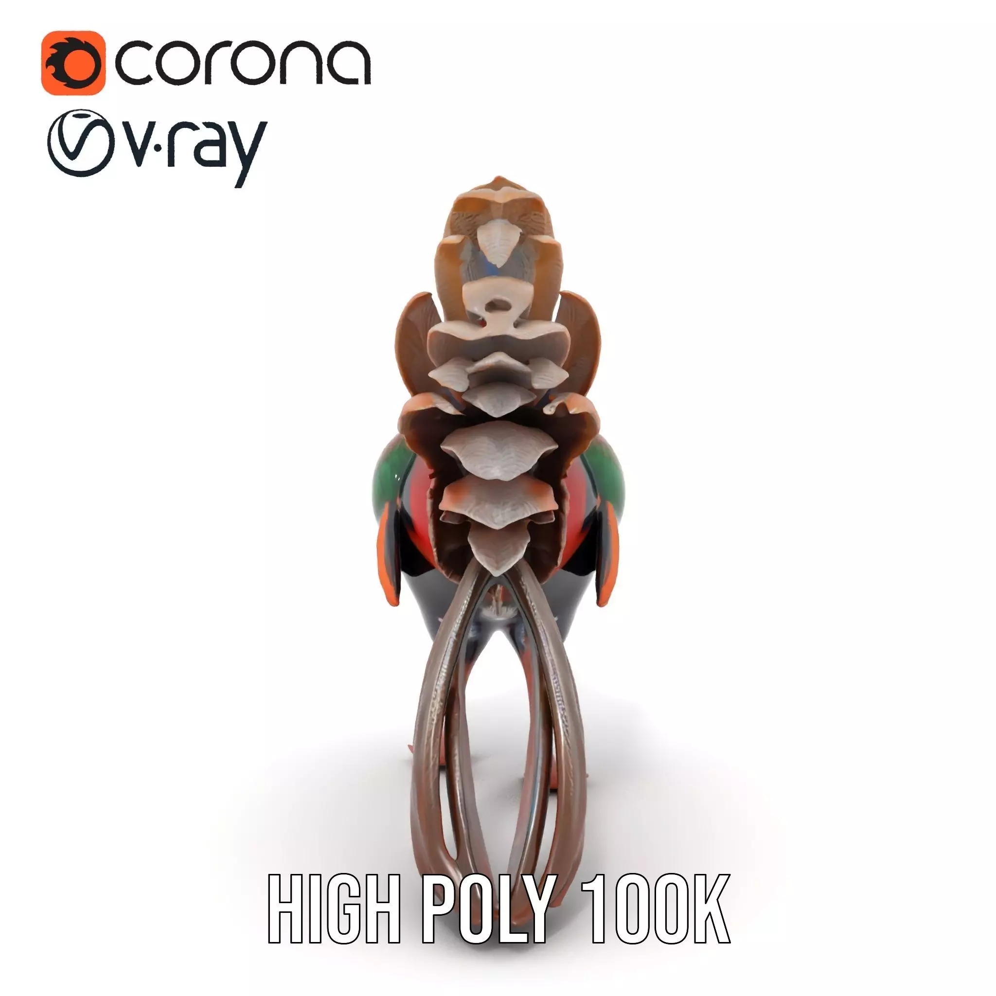 Vibrant Pheasant model pack Low-poly 3D model_26