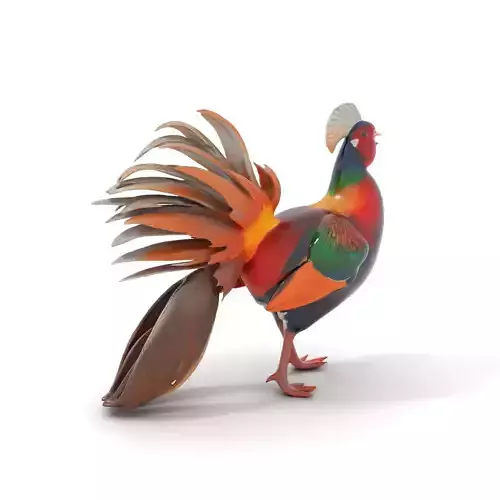 Vibrant Pheasant model pack