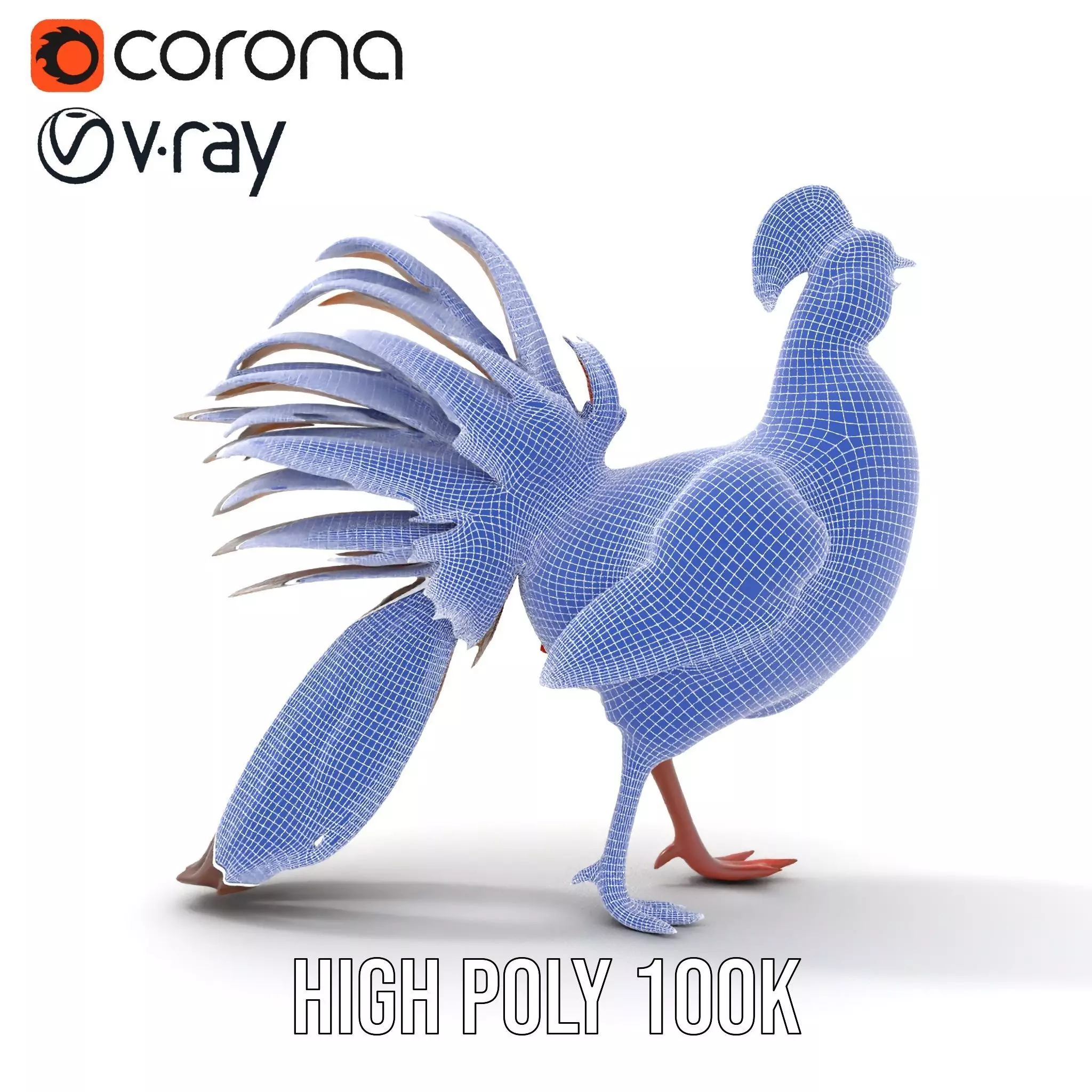 Vibrant Pheasant model pack Low-poly 3D model_34