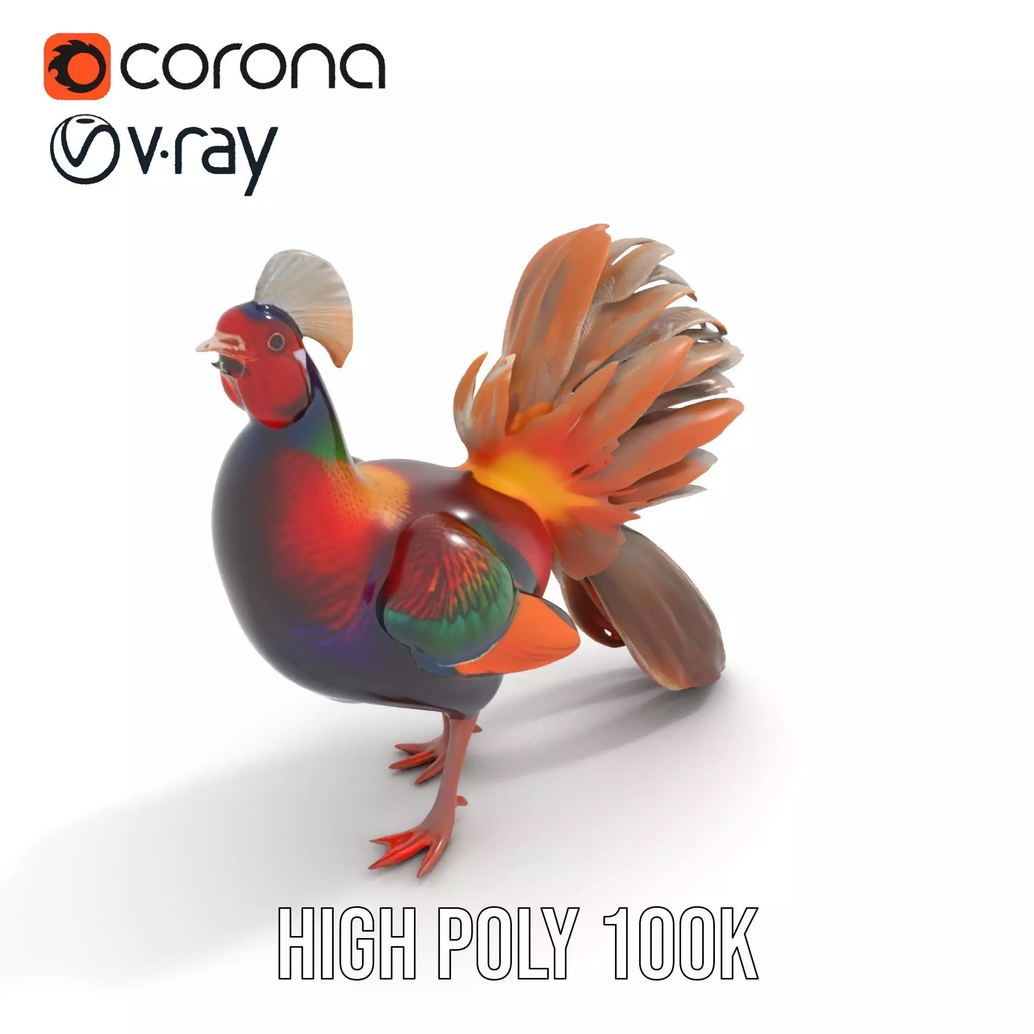 Vibrant Pheasant model pack Low-poly 3D model_20