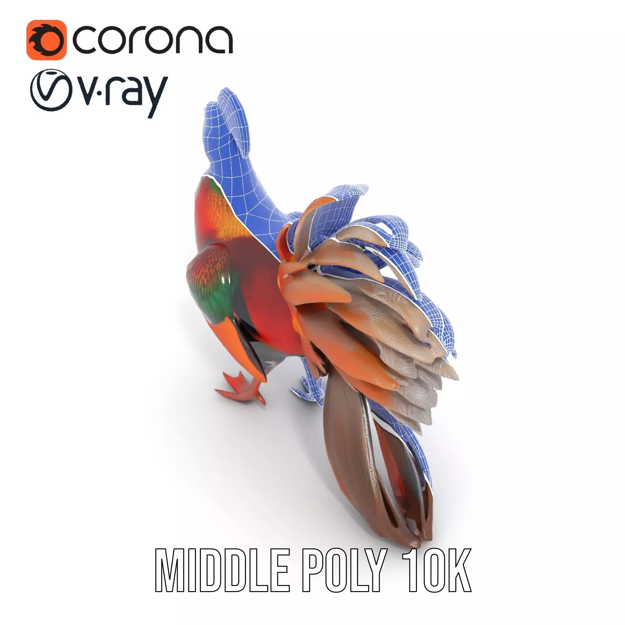 Vibrant Pheasant model pack Low-poly 3D model_27