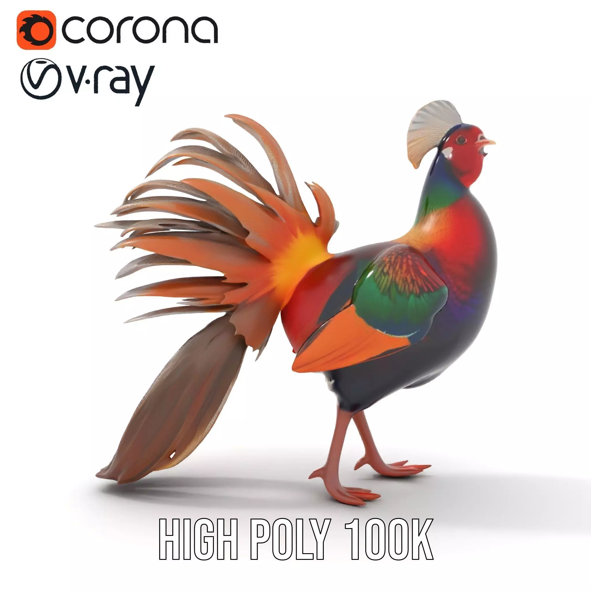 Vibrant Pheasant model pack Low-poly 3D model_23