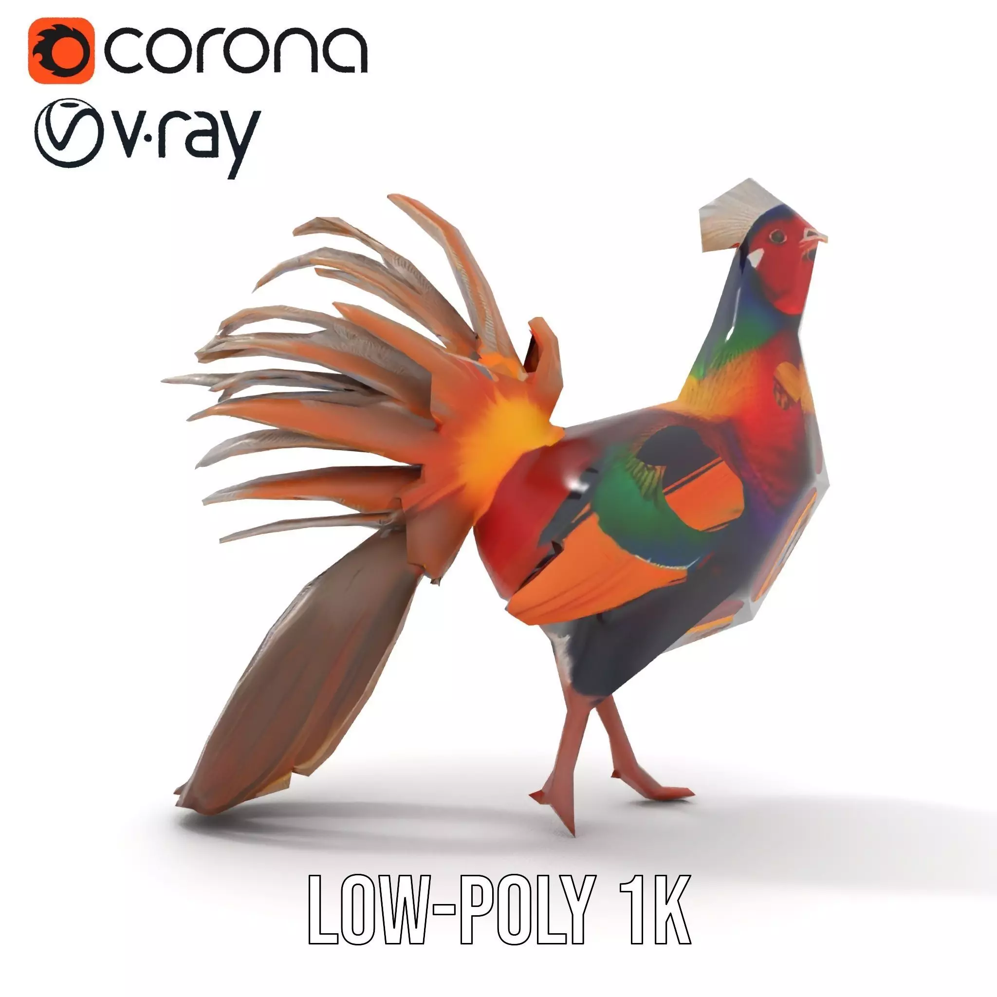 Vibrant Pheasant model pack Low-poly 3D model_25