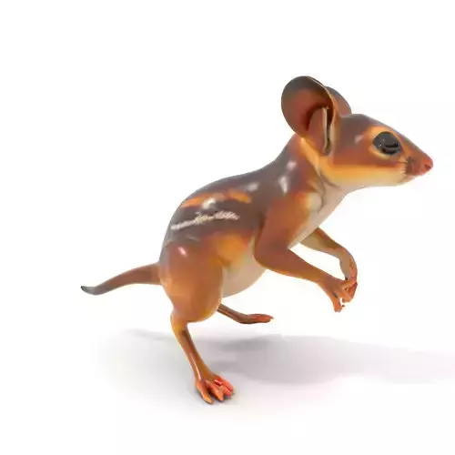 Playful Jerboa Creature model pack Low-poly 3D model