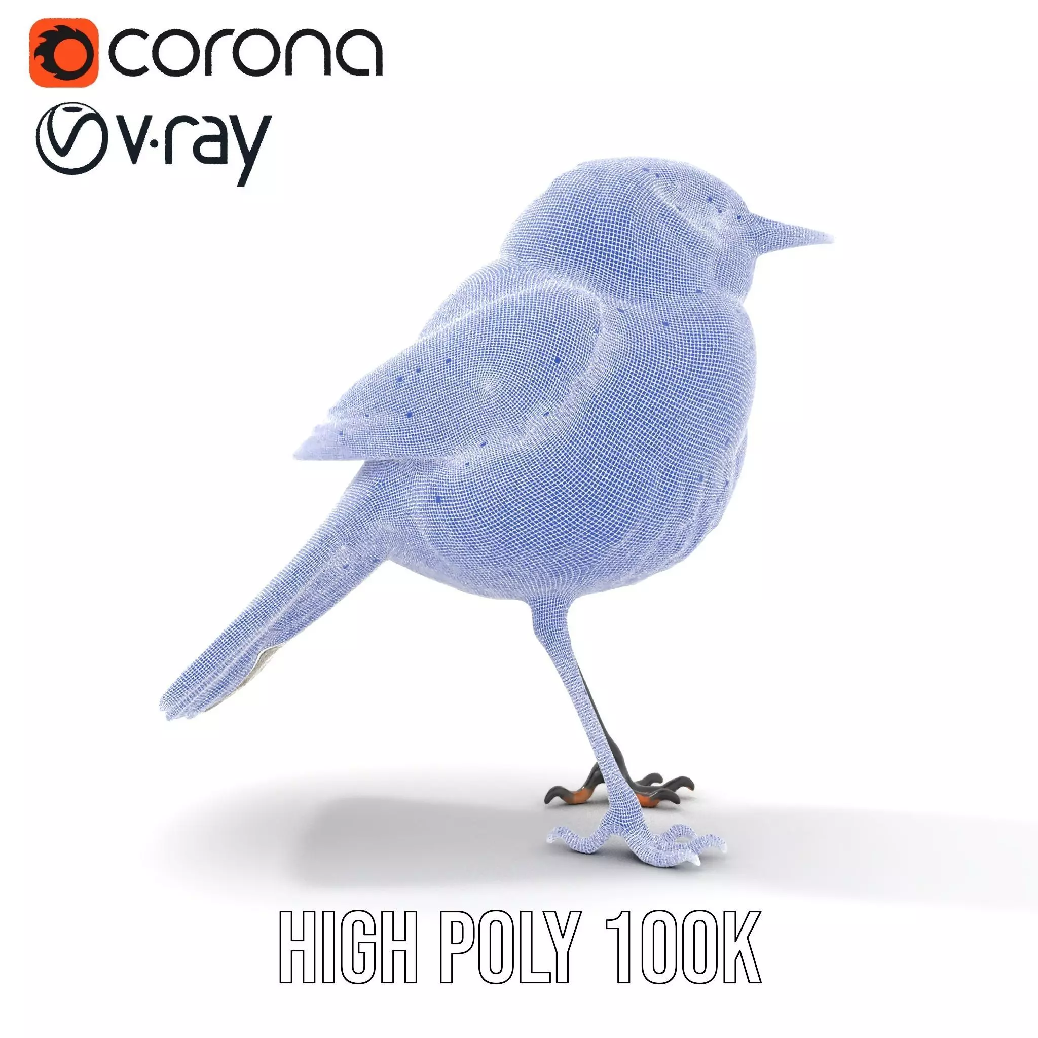 Elegant Magpie Bird model pack Low-poly 3D model_32