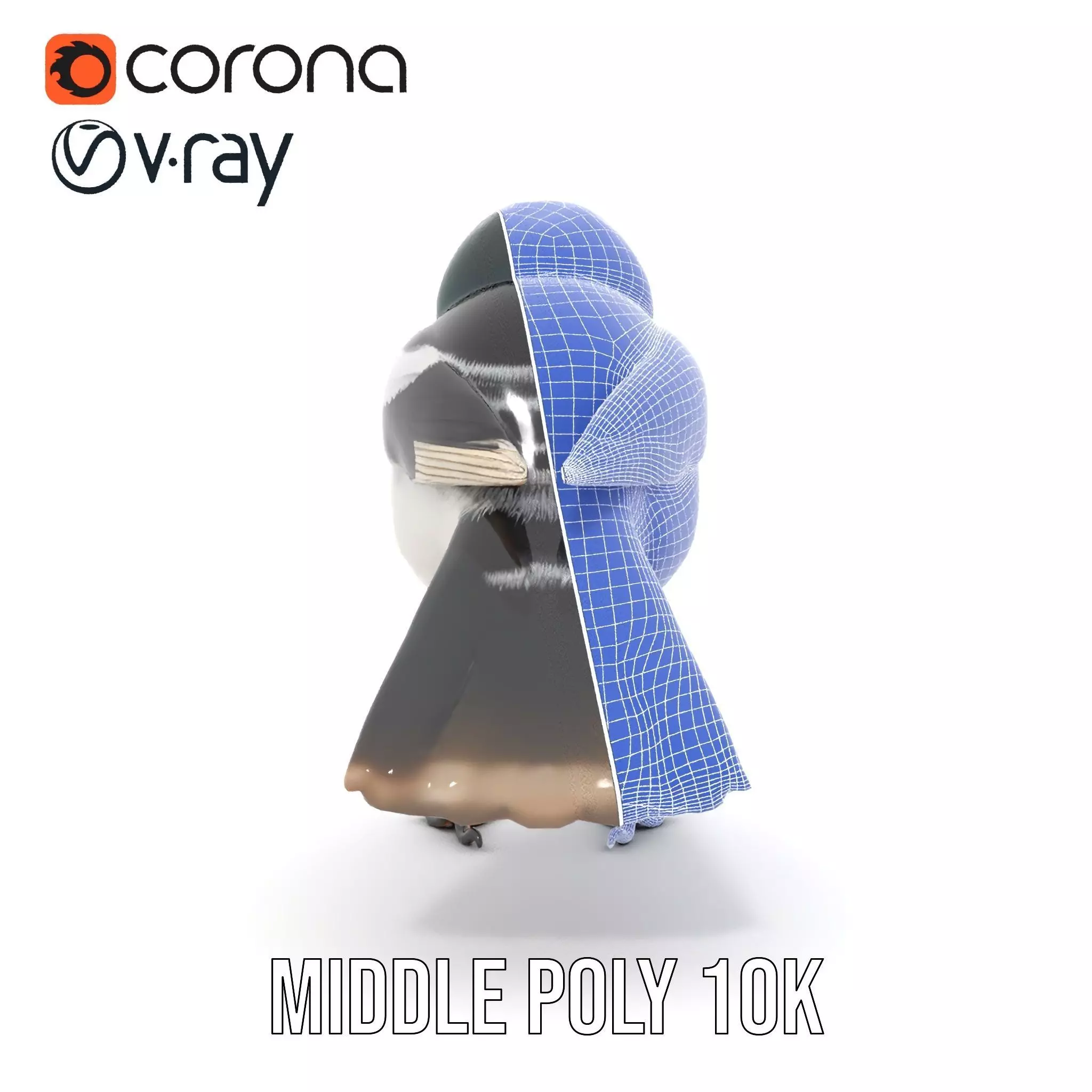 Elegant Magpie Bird model pack Low-poly 3D model_23