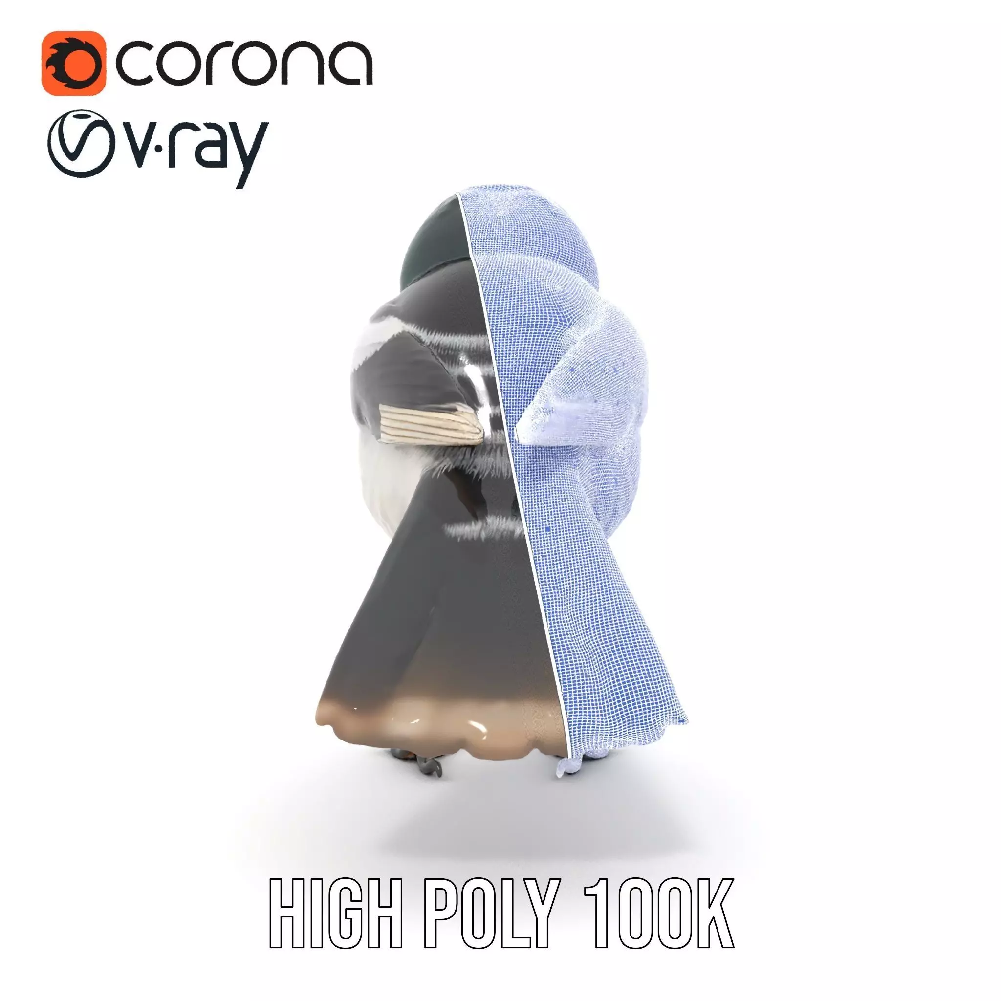 Elegant Magpie Bird model pack Low-poly 3D model_34