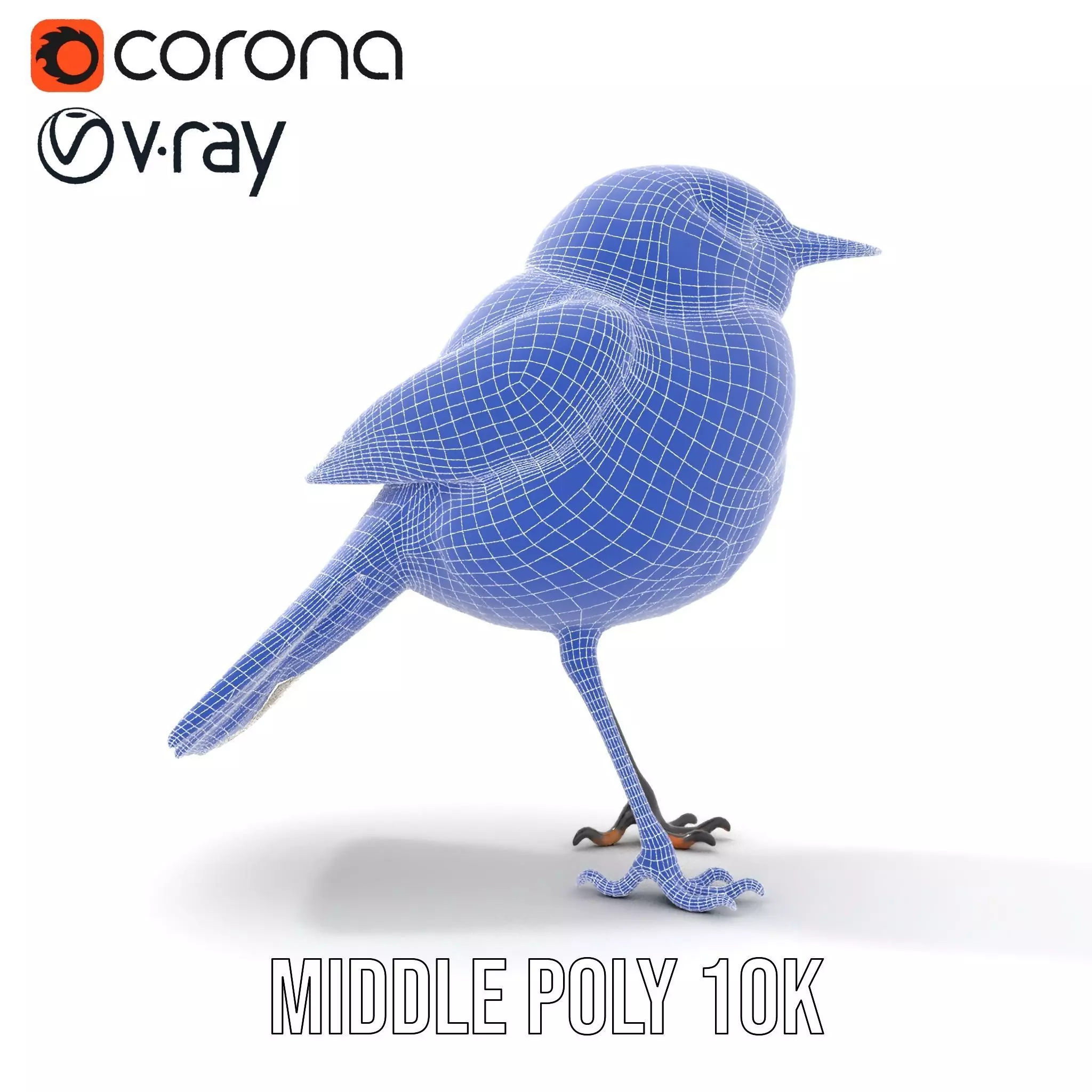 Elegant Magpie Bird model pack Low-poly 3D model_13