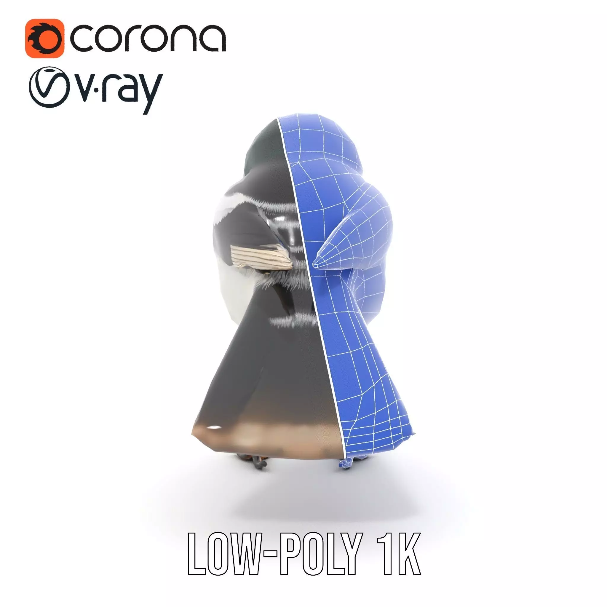 Elegant Magpie Bird model pack Low-poly 3D model_27