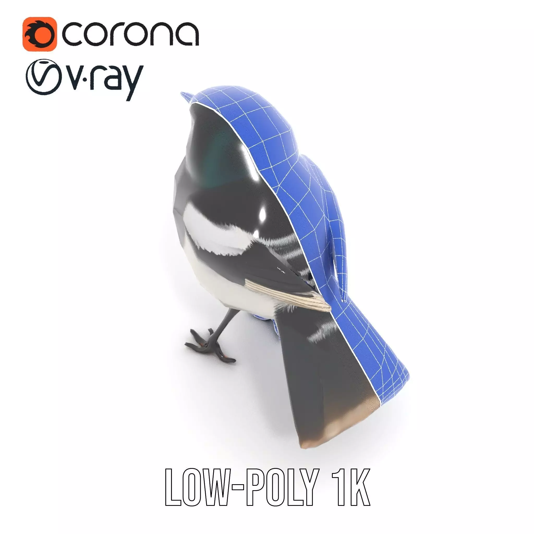 Elegant Magpie Bird model pack Low-poly 3D model_21