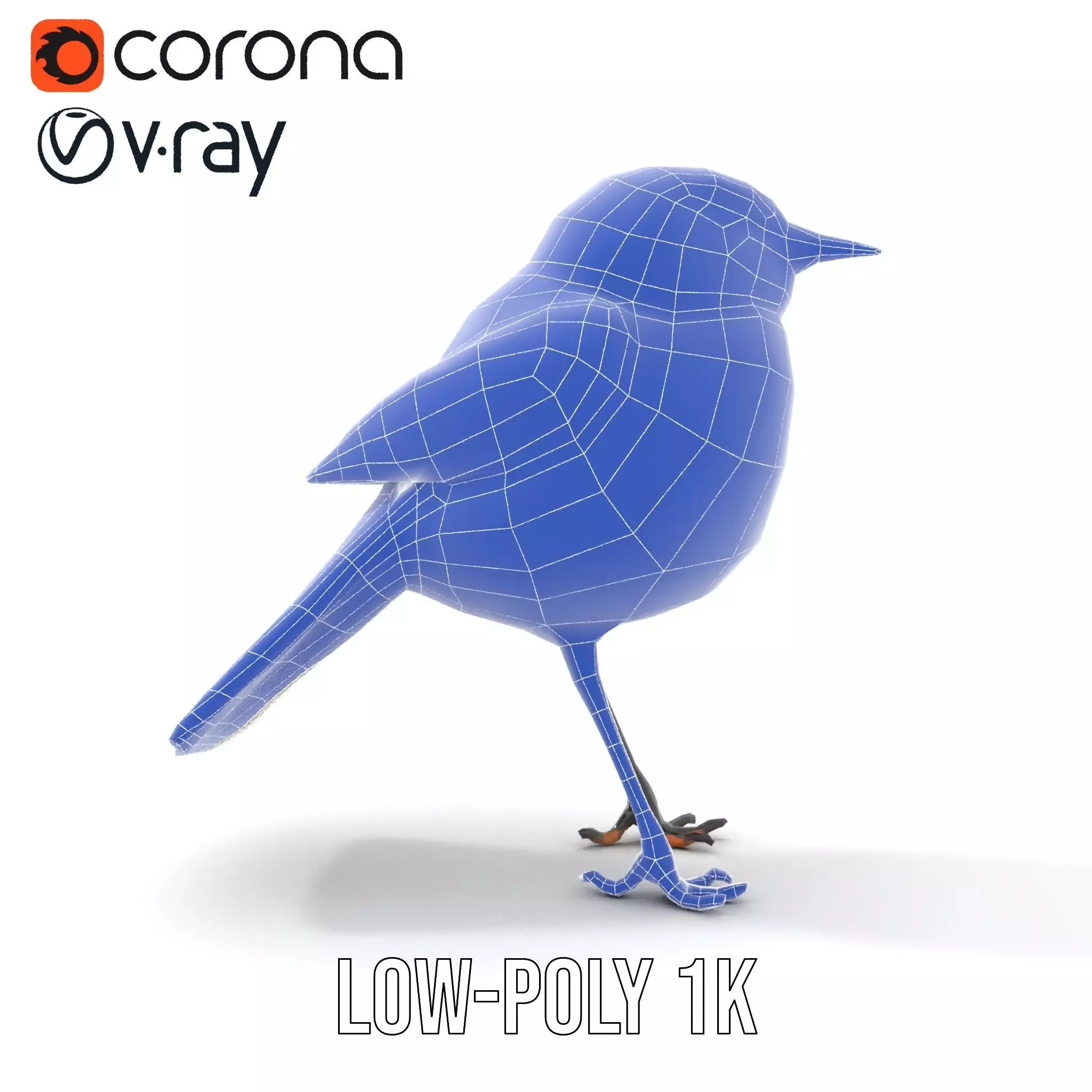 Elegant Magpie Bird model pack Low-poly 3D model_19