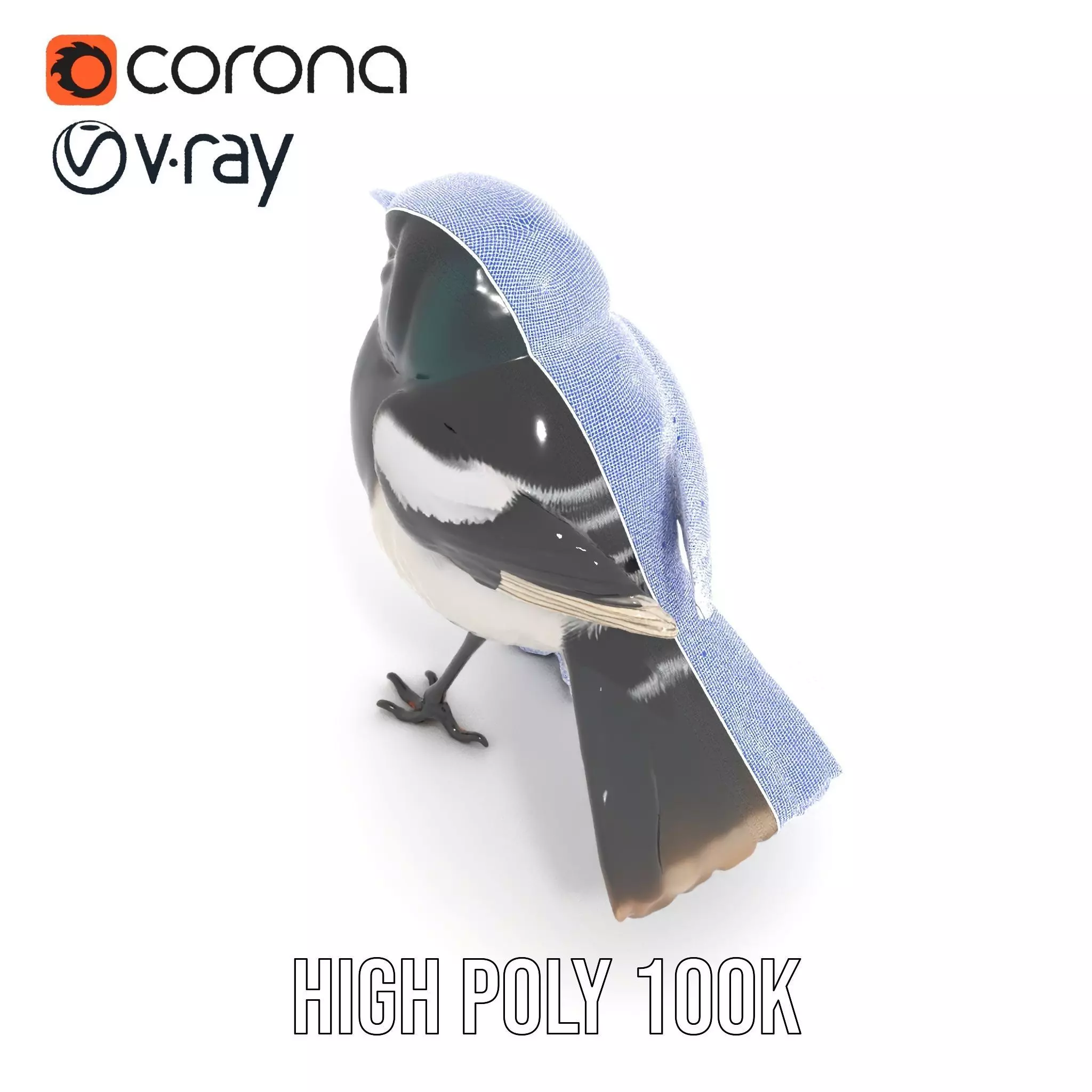 Elegant Magpie Bird model pack Low-poly 3D model_33