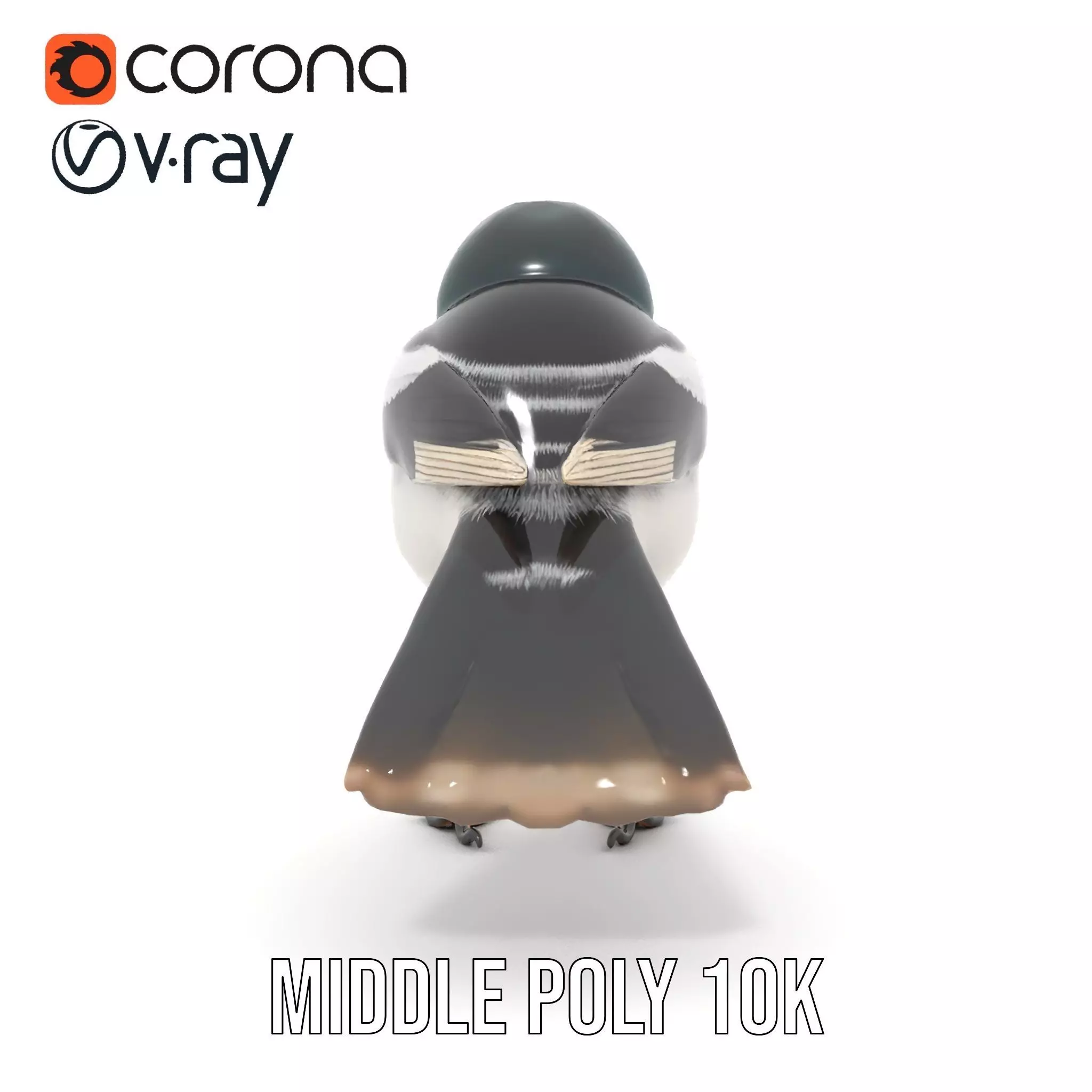 Elegant Magpie Bird model pack Low-poly 3D model_18