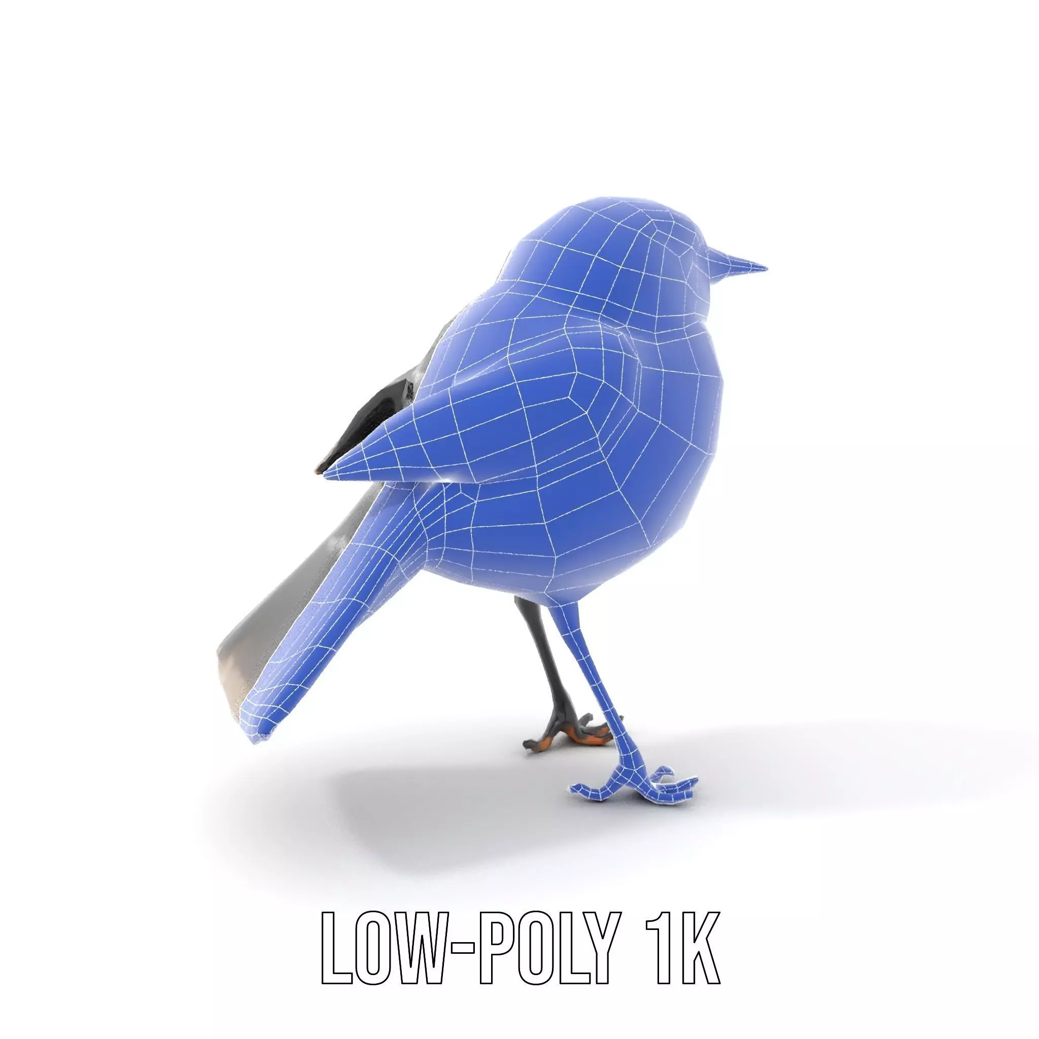 Elegant Magpie Bird model pack Low-poly 3D model_17