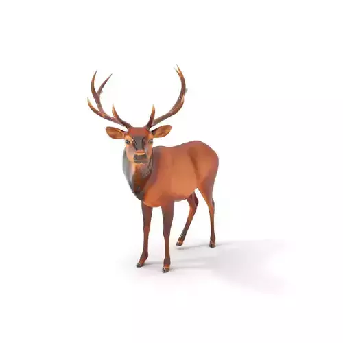 Majestic Stag model pack