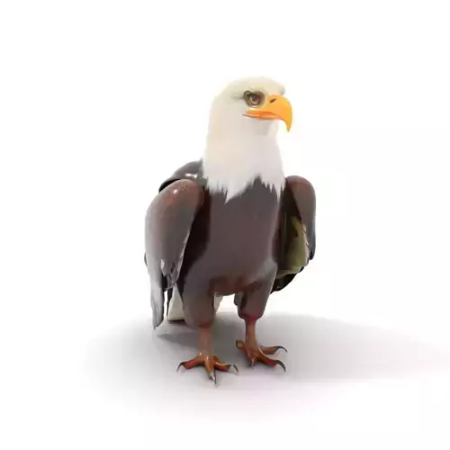 Majestic Eagle model pack