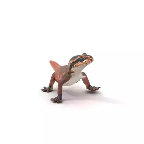 Striped Gecko model pack