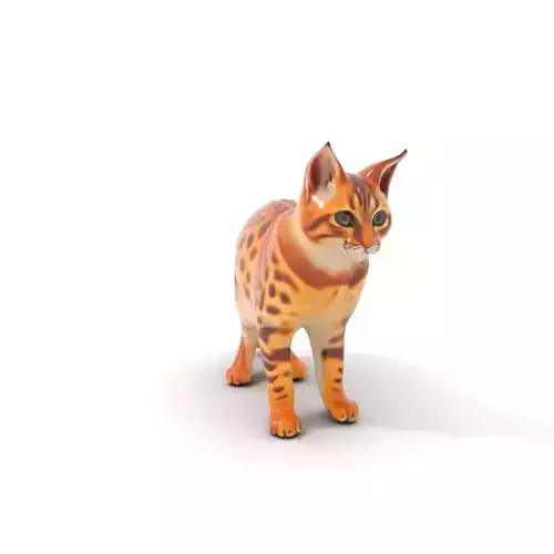 Spotted Bengal Cat model pack Low-poly 3D model
