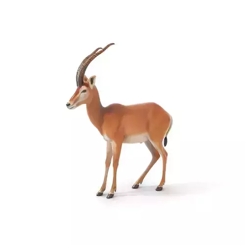 Elegant Gazelle model pack Low-poly 3D model