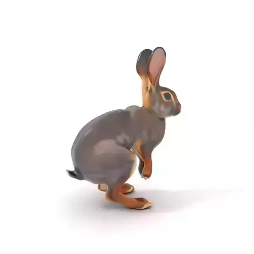 Realistic Rabbit Fur model pack Low-poly 3D model