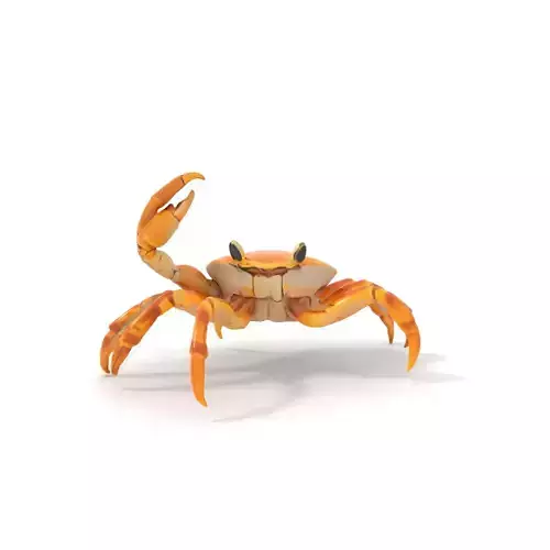 Vibrant Crab model pack