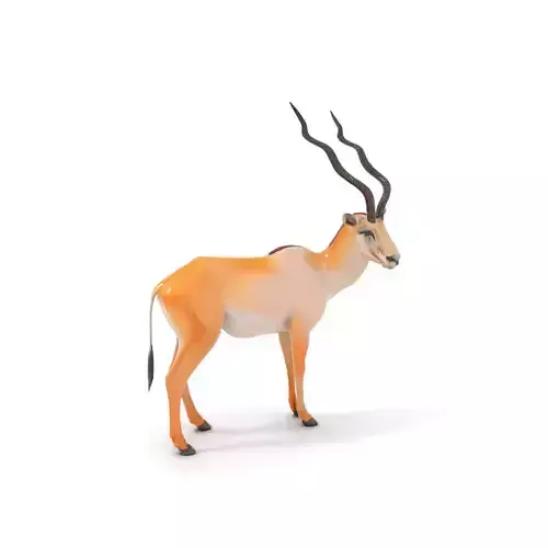Elegant Antelope model pack Low-poly 3D model