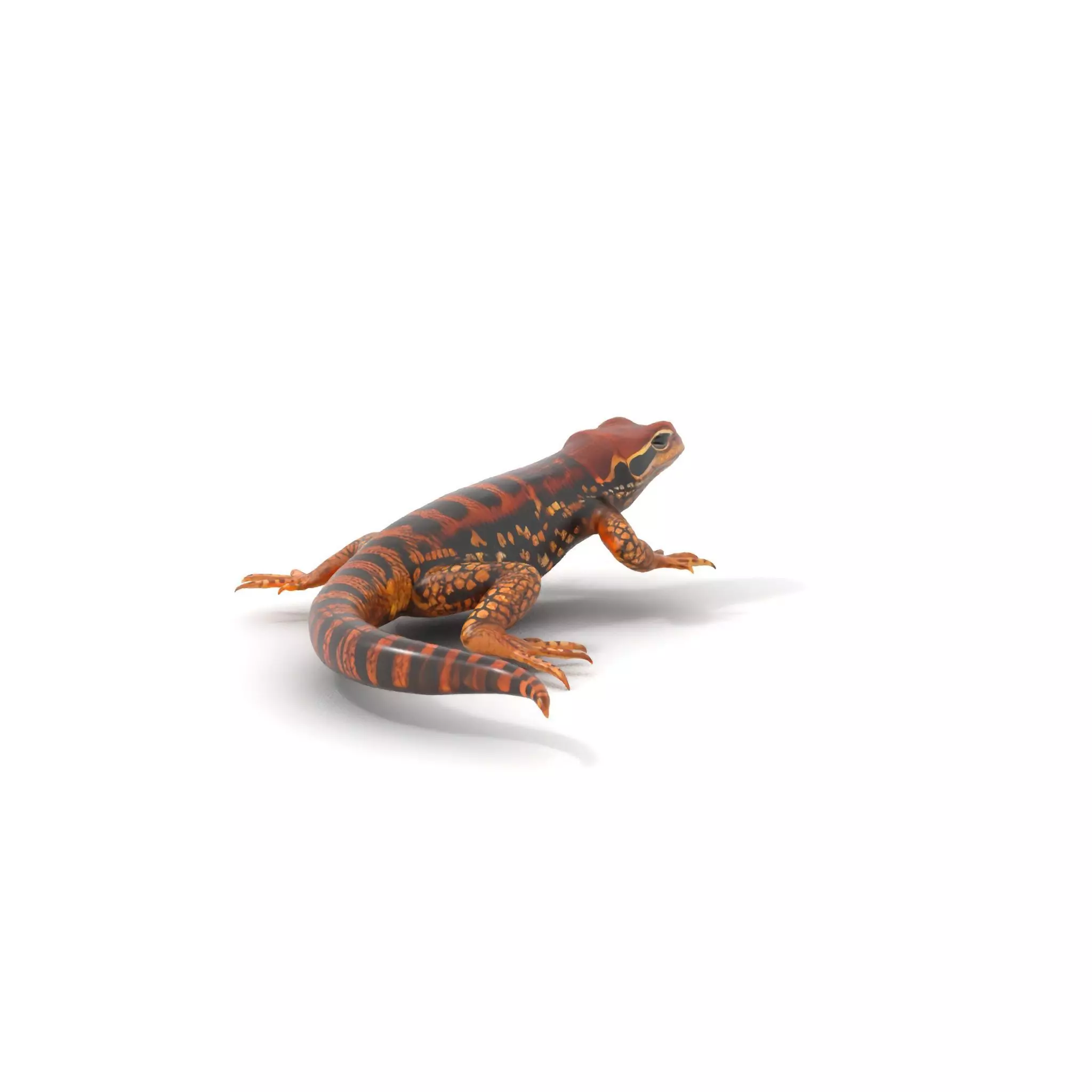 Striped Lizard Model Pack Low-poly 3D model_11