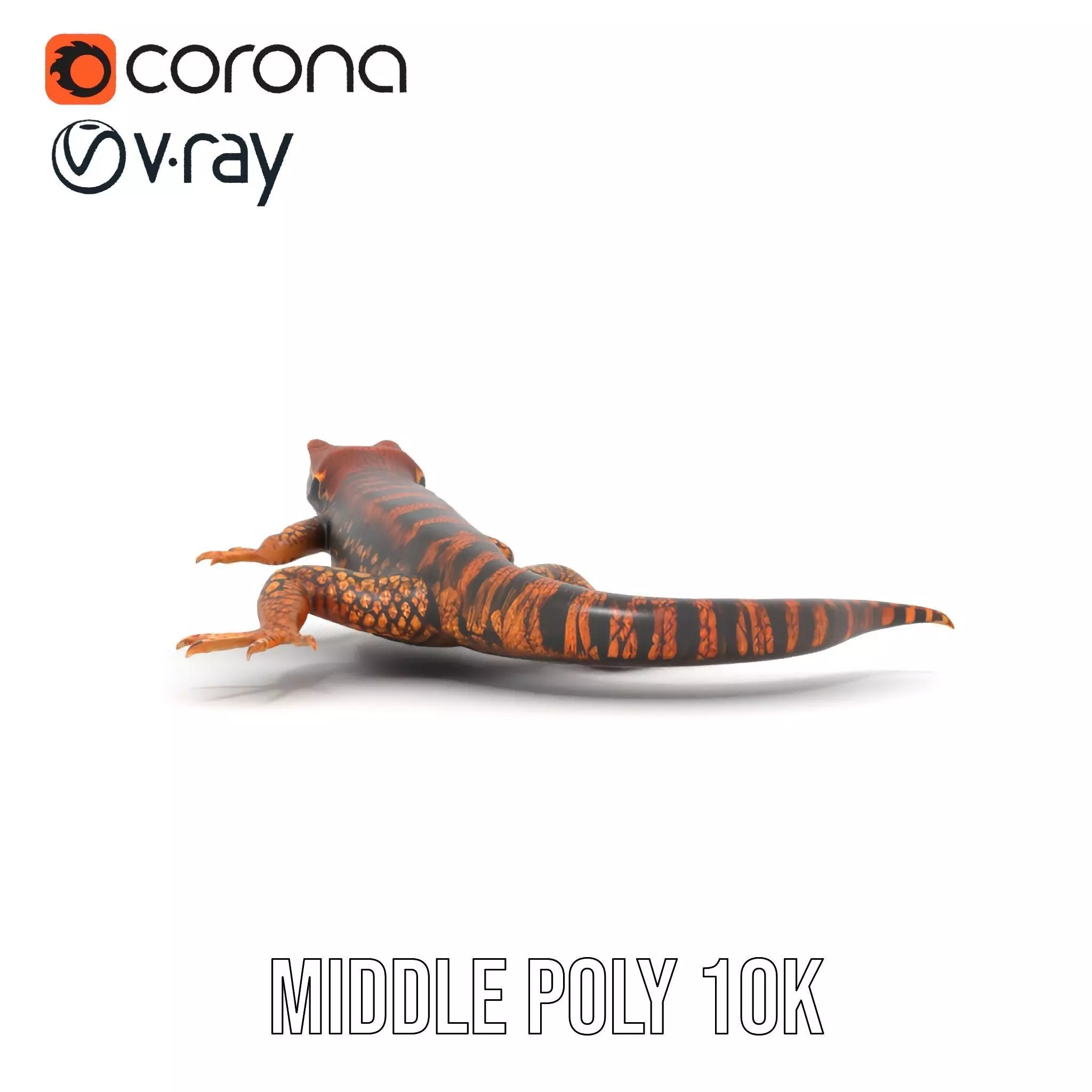 Striped Lizard Model Pack Low-poly 3D model_21