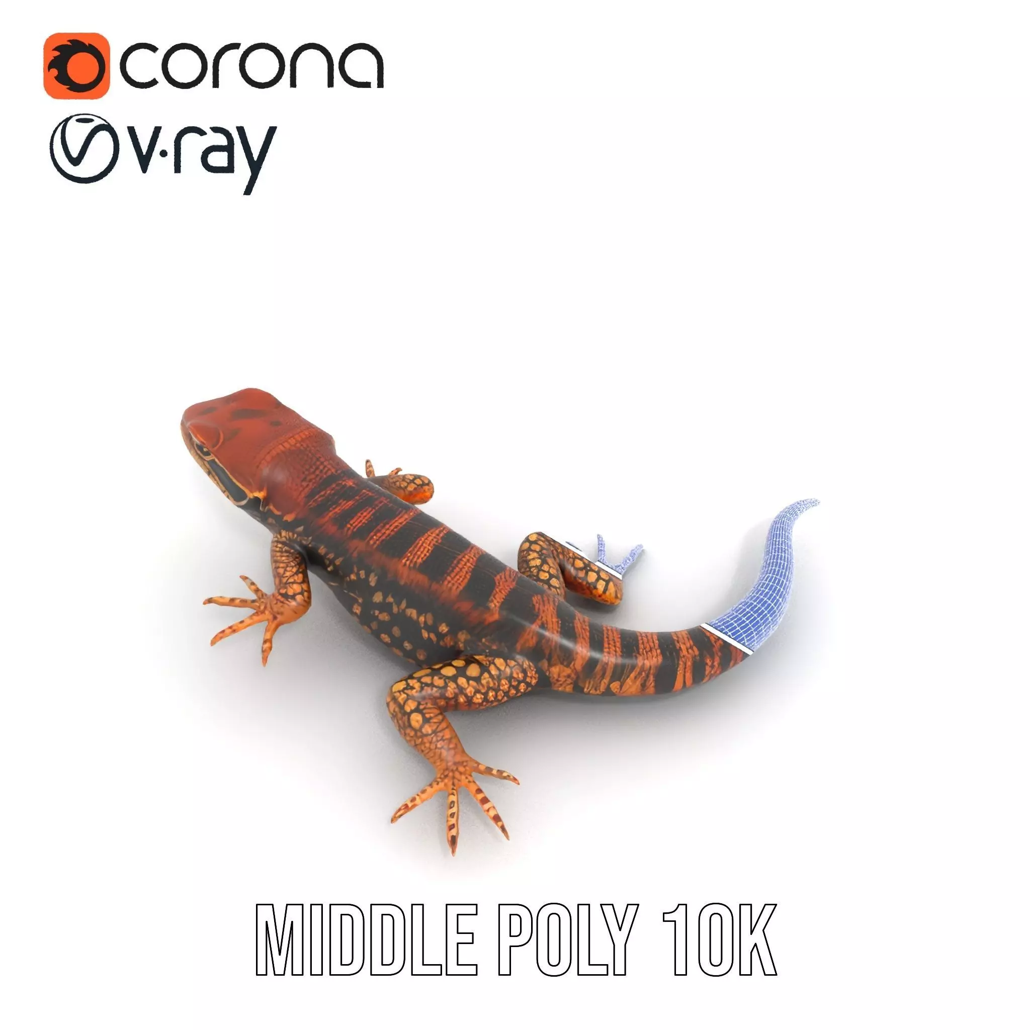 Striped Lizard Model Pack Low-poly 3D model_16