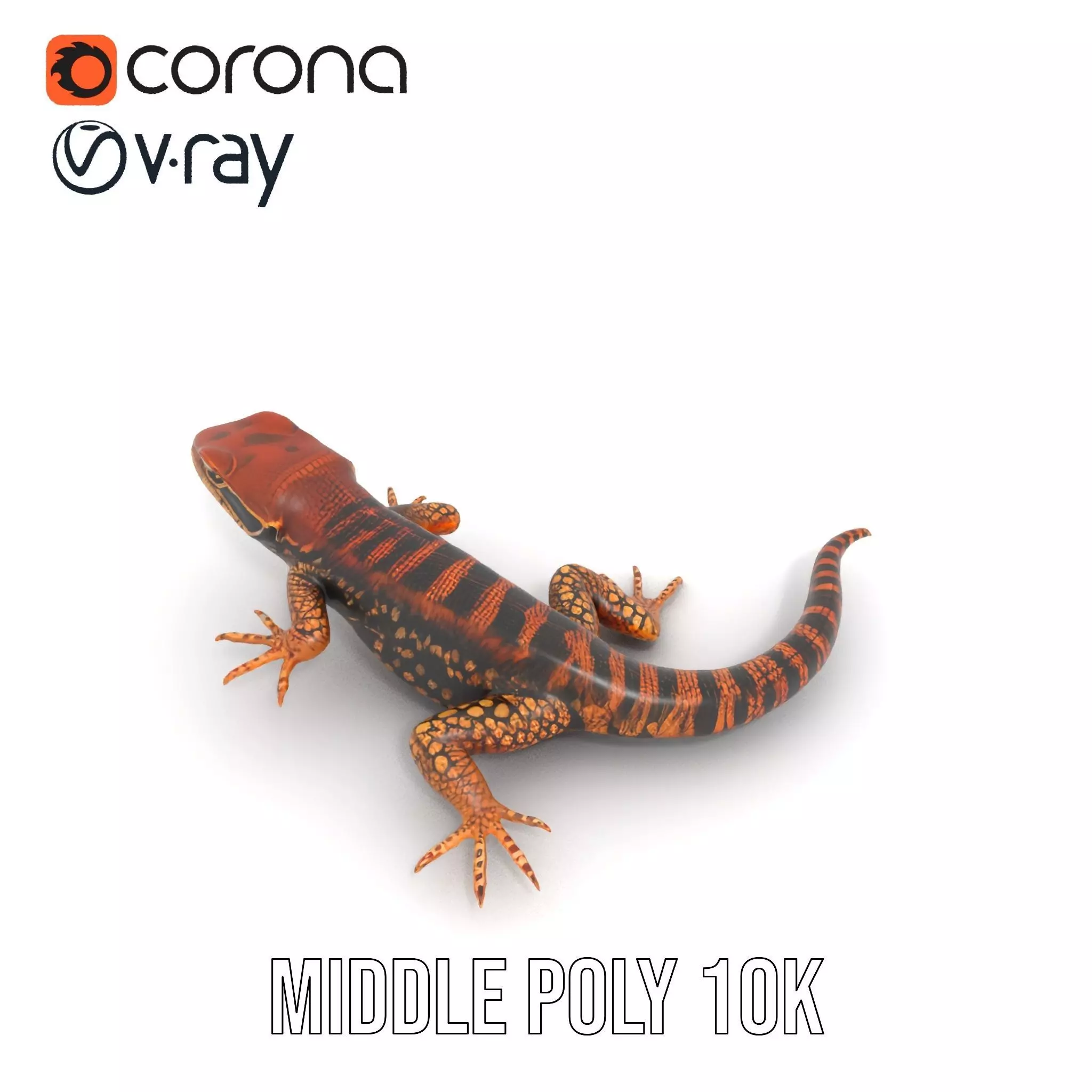 Striped Lizard Model Pack Low-poly 3D model_5