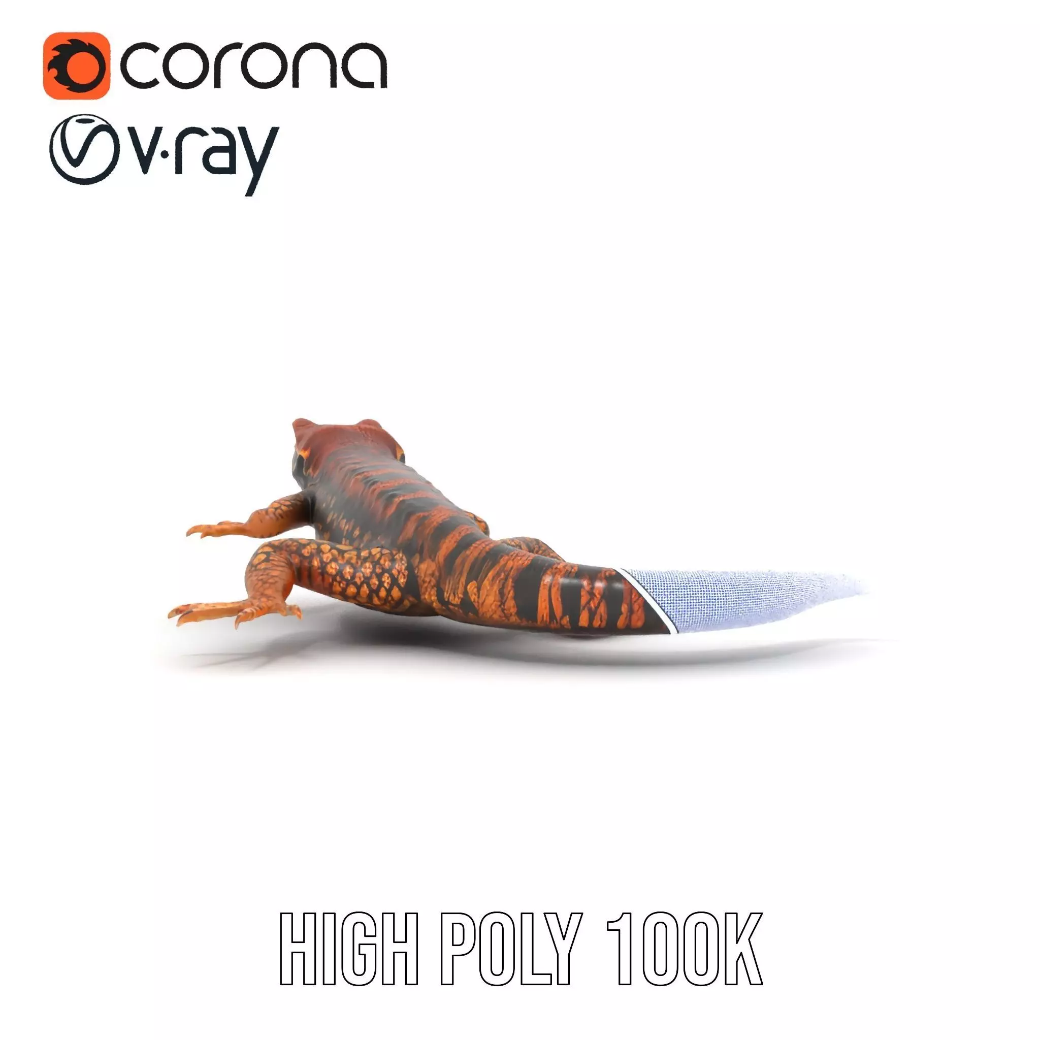 Striped Lizard Model Pack Low-poly 3D model_23