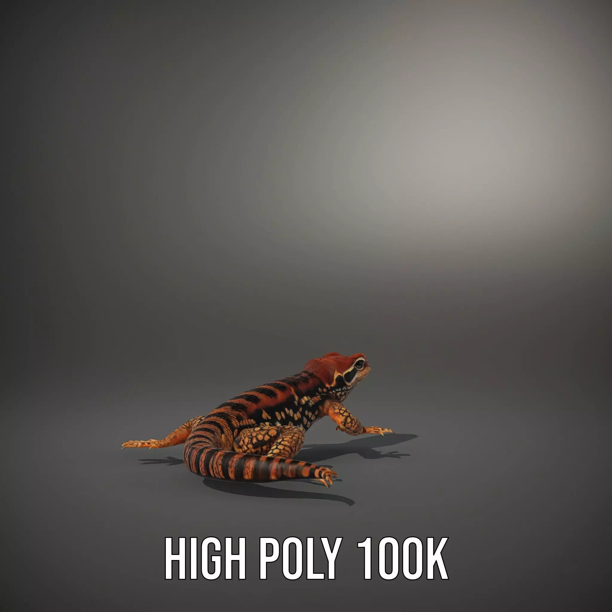 Striped Lizard Model Pack Low-poly 3D model_8