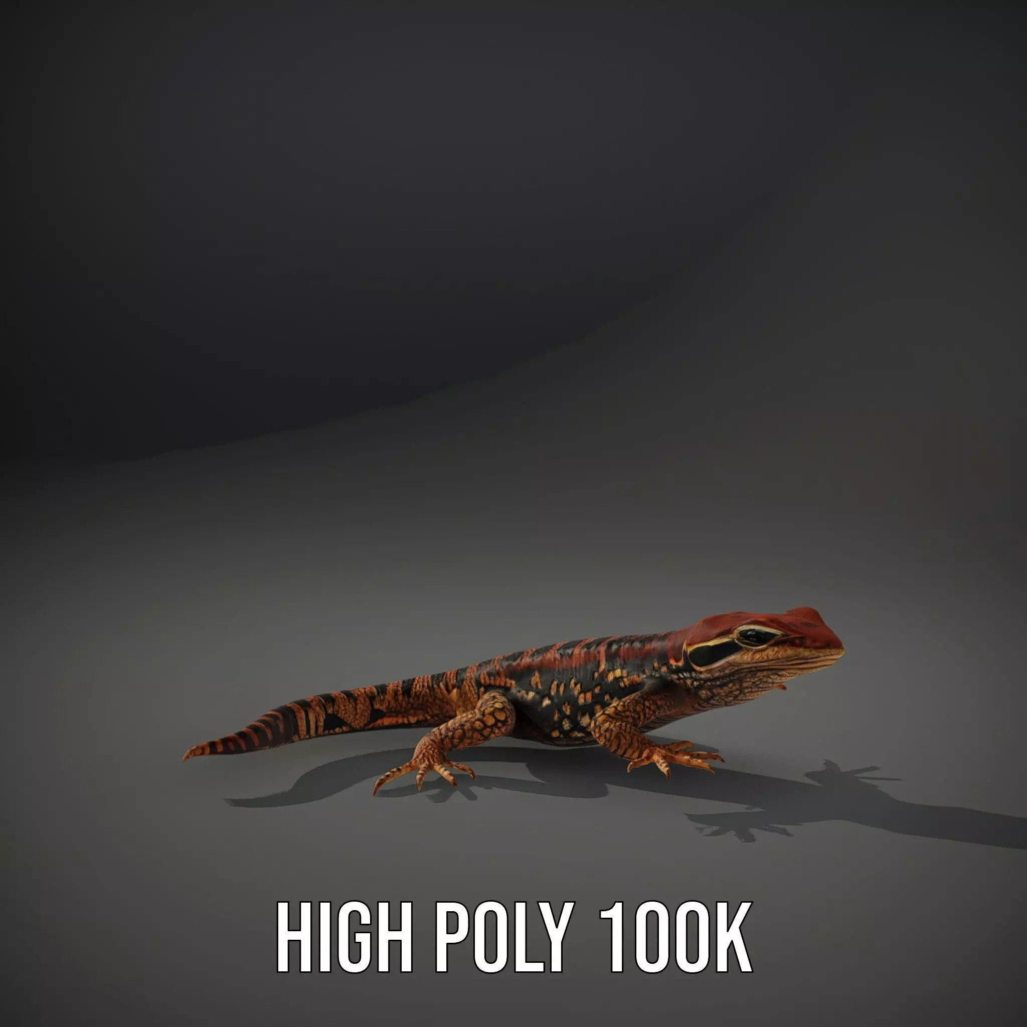 Striped Lizard Model Pack Low-poly 3D model_10