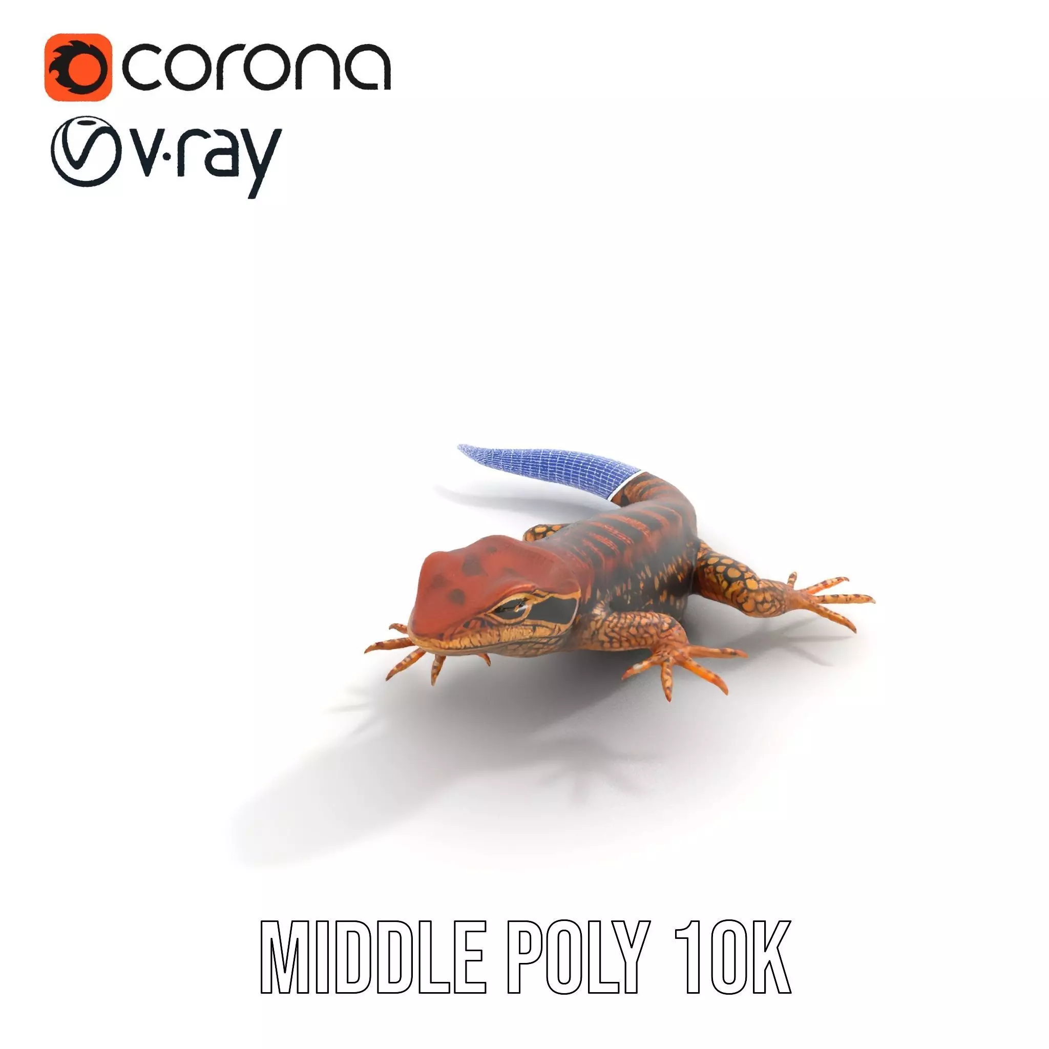 Striped Lizard Model Pack Low-poly 3D model_27