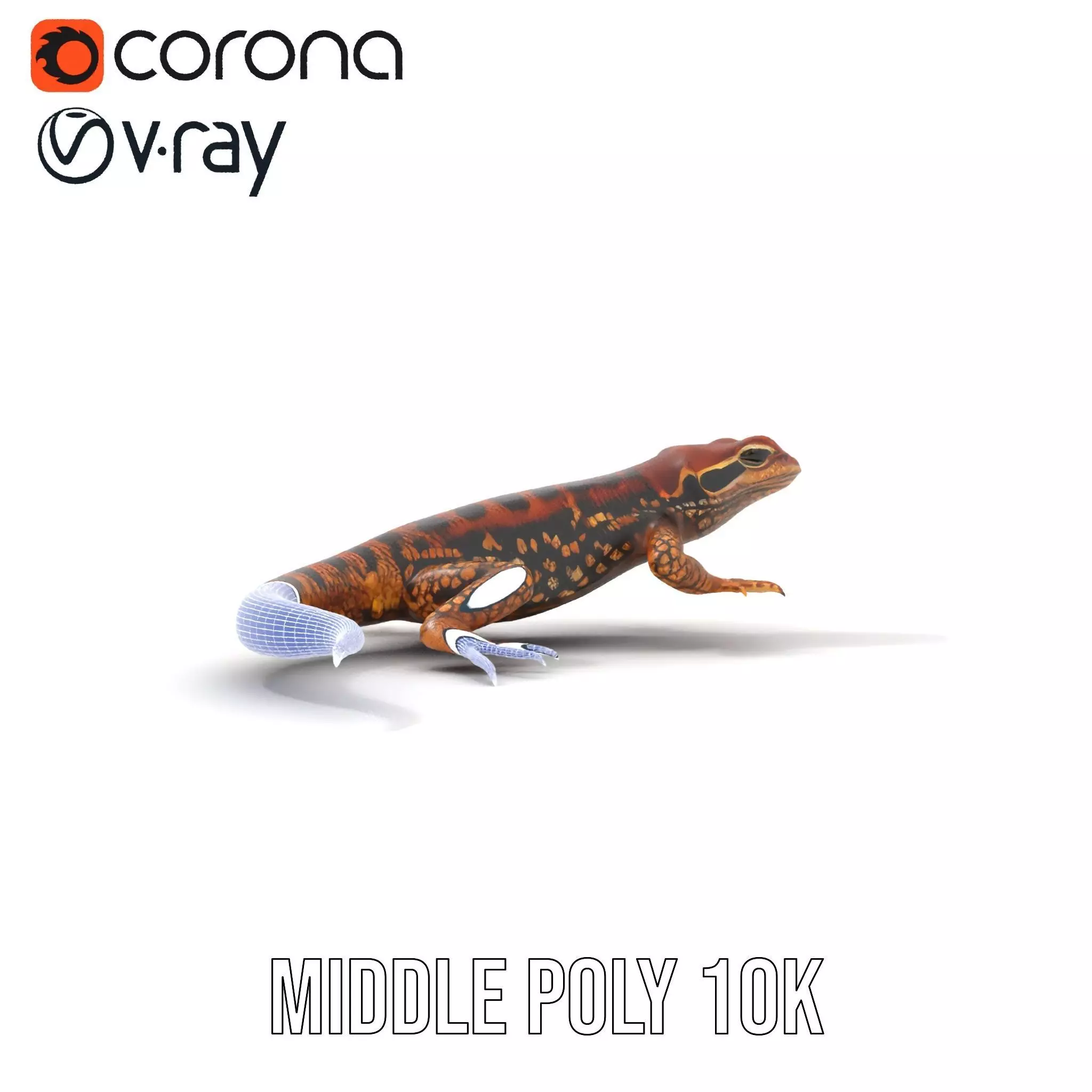 Striped Lizard Model Pack Low-poly 3D model_24