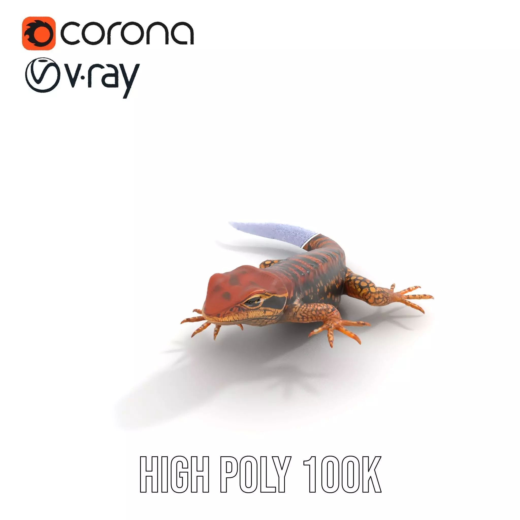 Striped Lizard Model Pack Low-poly 3D model_33