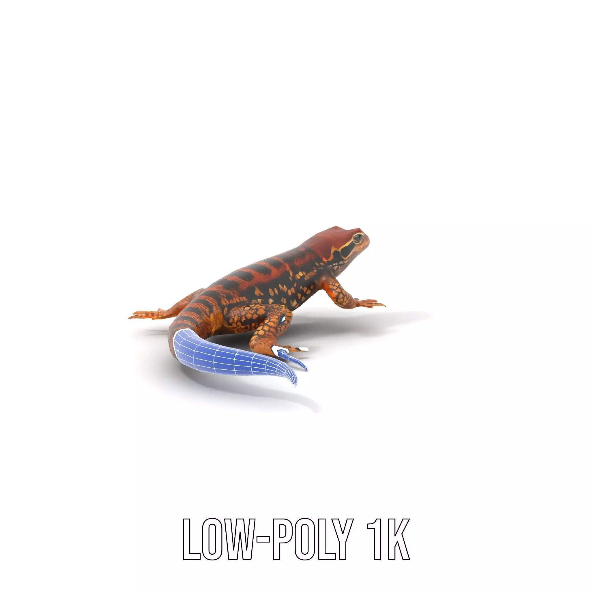 Striped Lizard Model Pack Low-poly 3D model_17