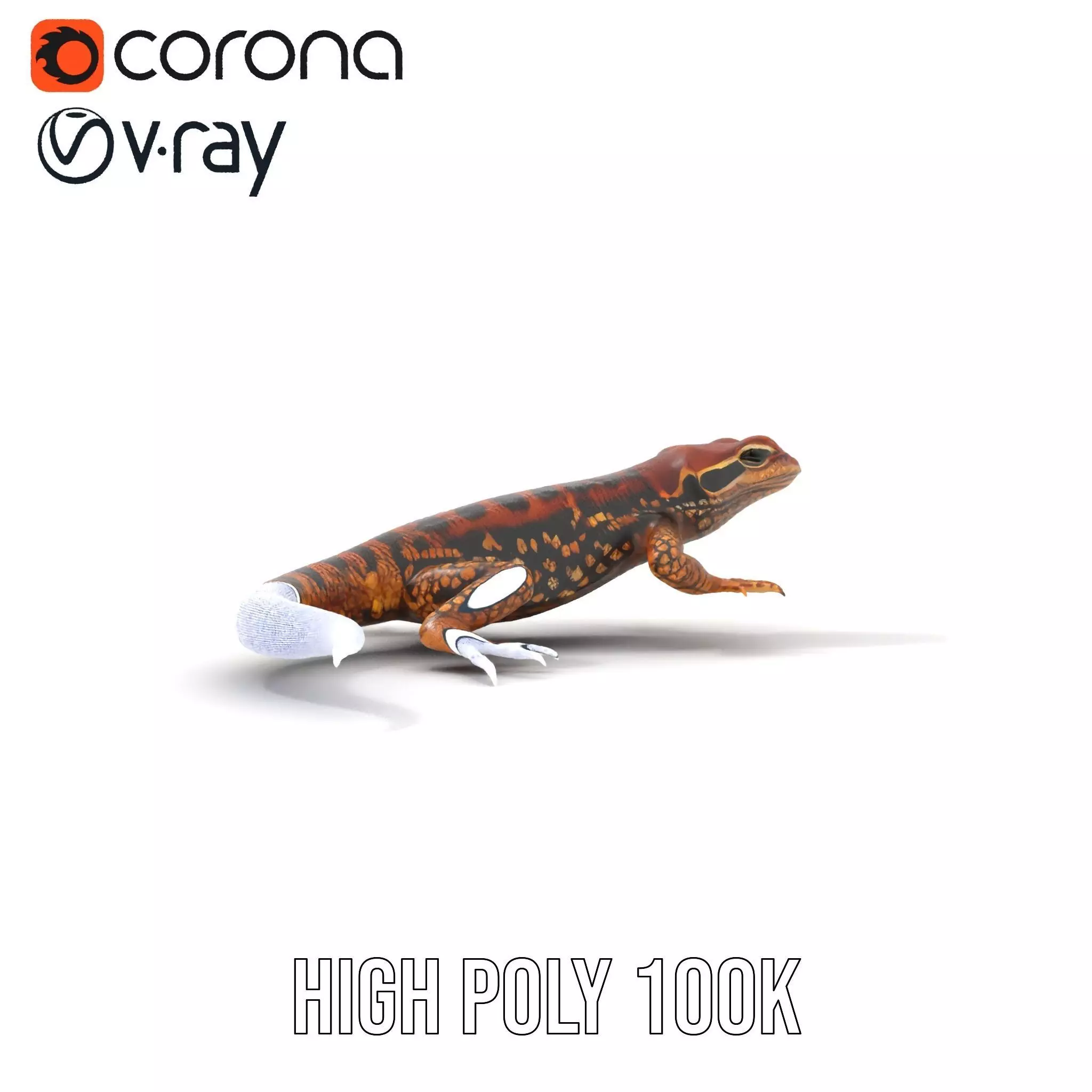 Striped Lizard Model Pack Low-poly 3D model_32