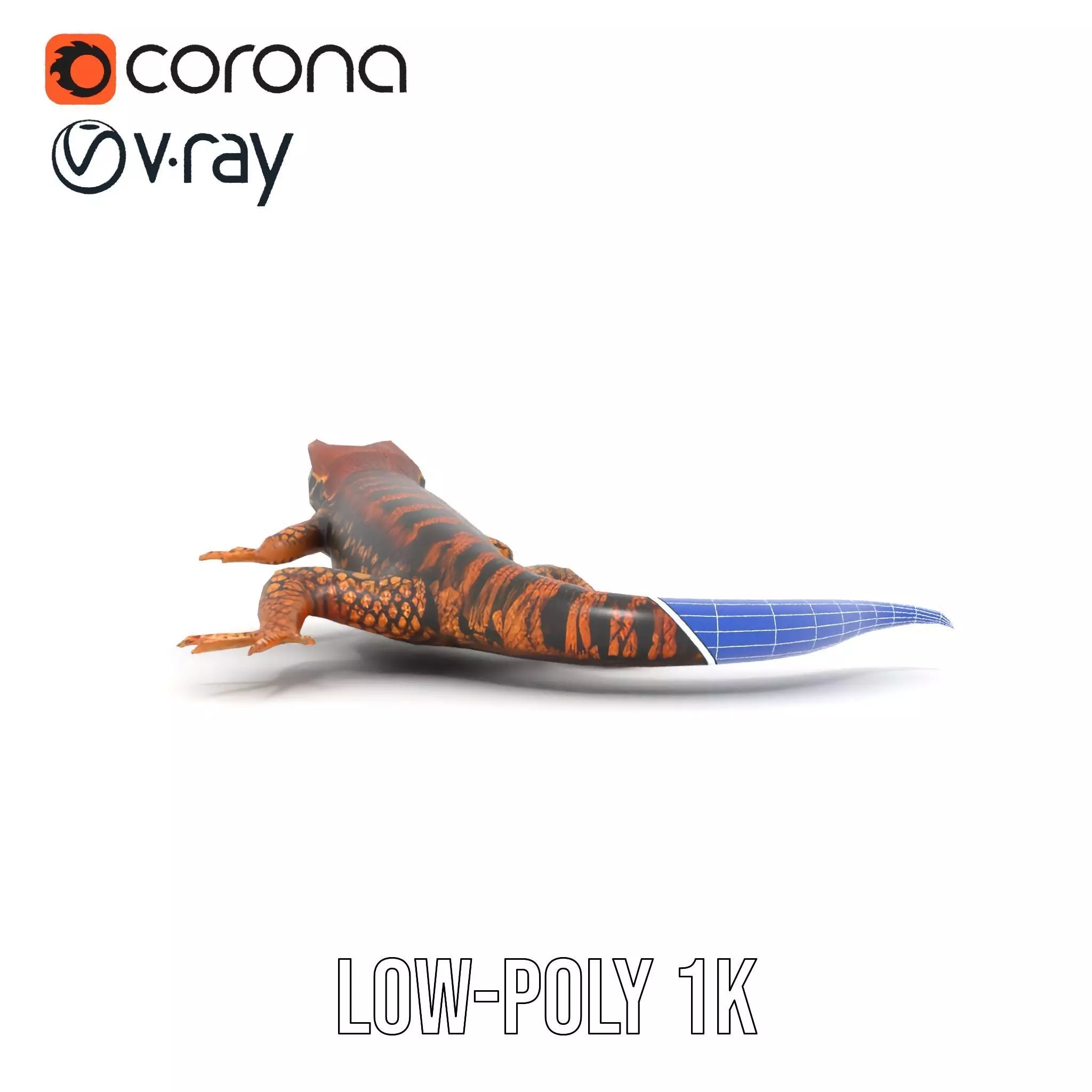 Striped Lizard Model Pack Low-poly 3D model_31