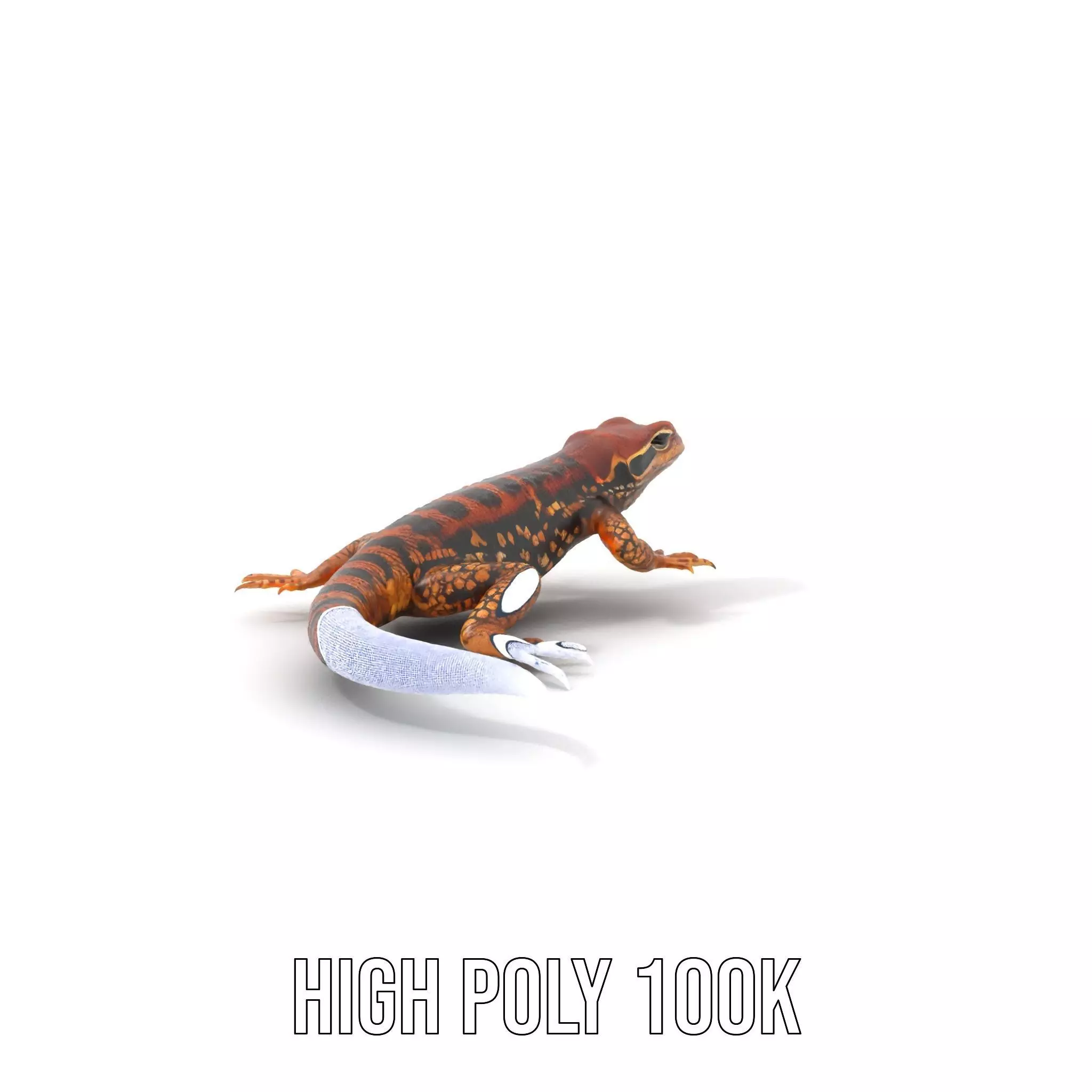 Striped Lizard Model Pack Low-poly 3D model_4