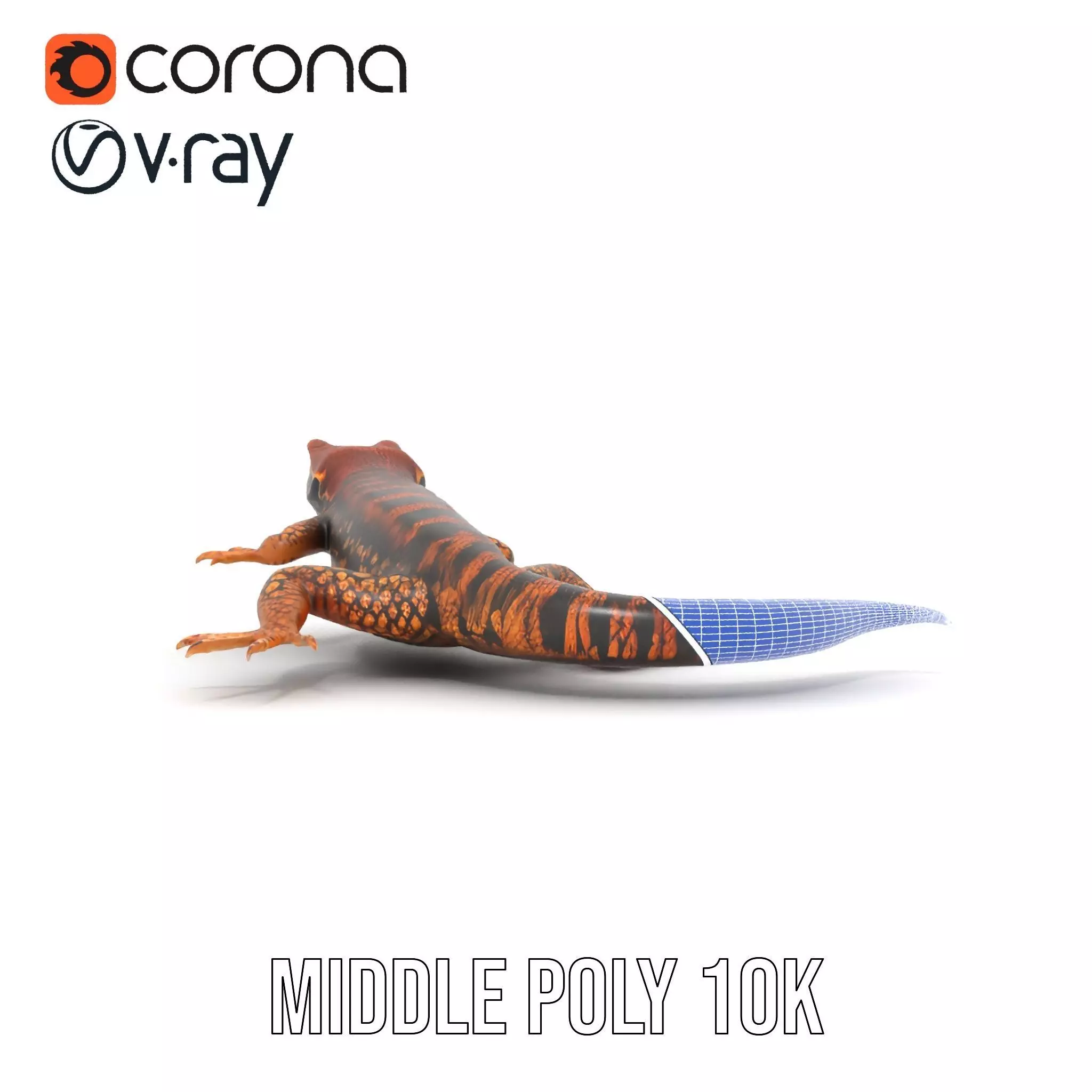 Striped Lizard Model Pack Low-poly 3D model_30