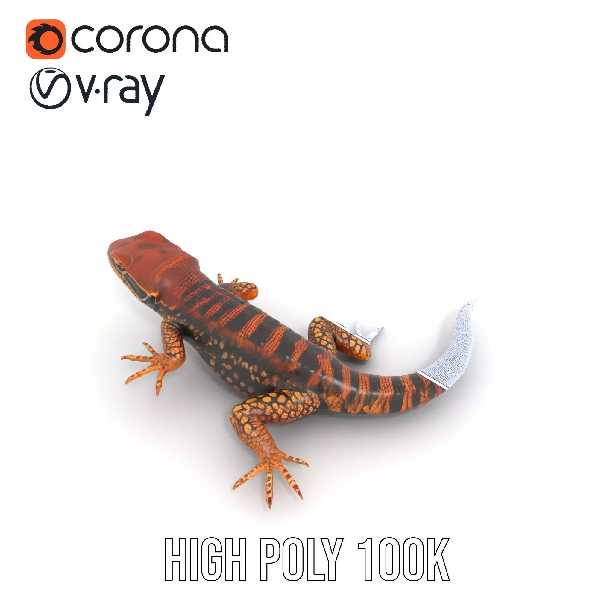 Striped Lizard Model Pack Low-poly 3D model_34