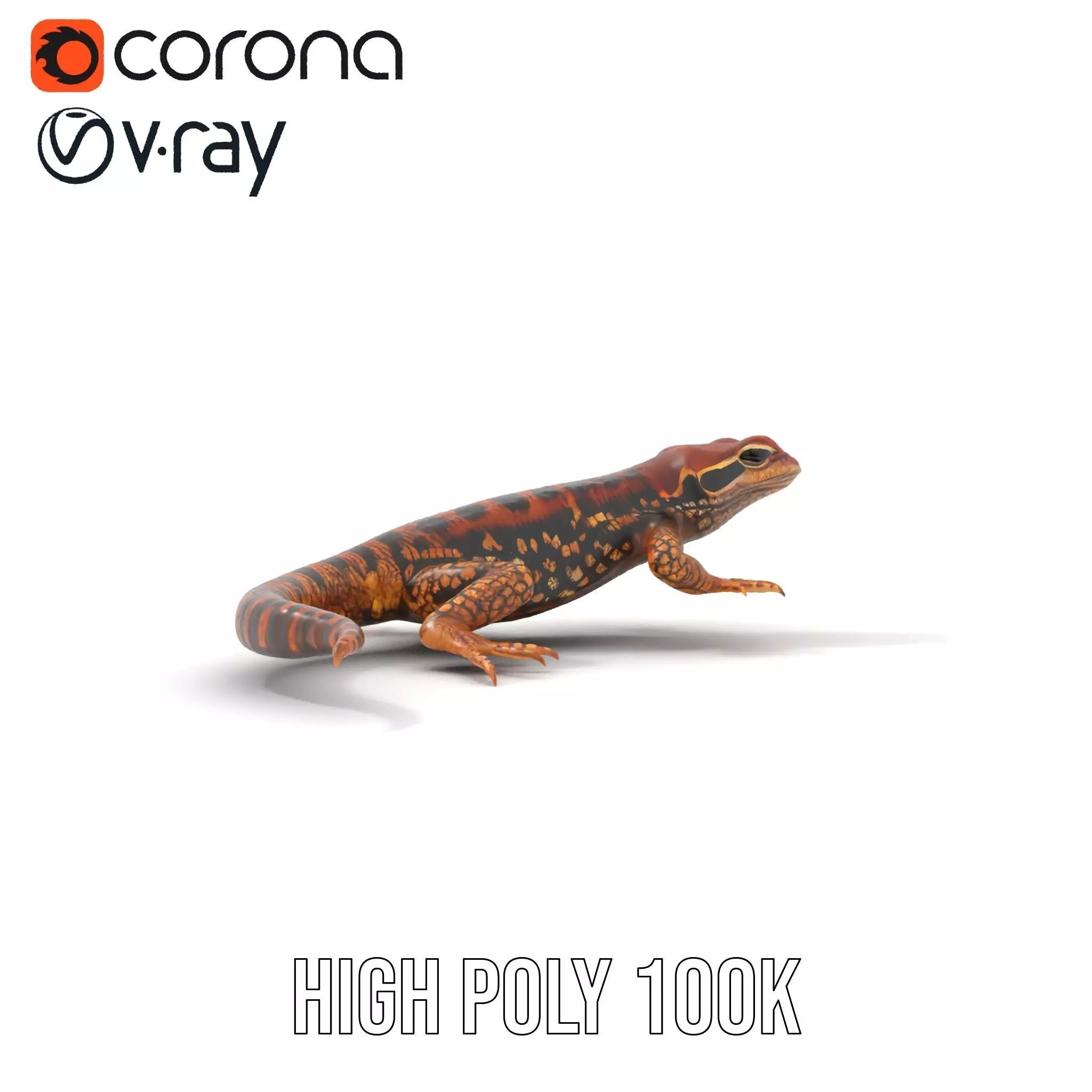 Striped Lizard Model Pack Low-poly 3D model_26