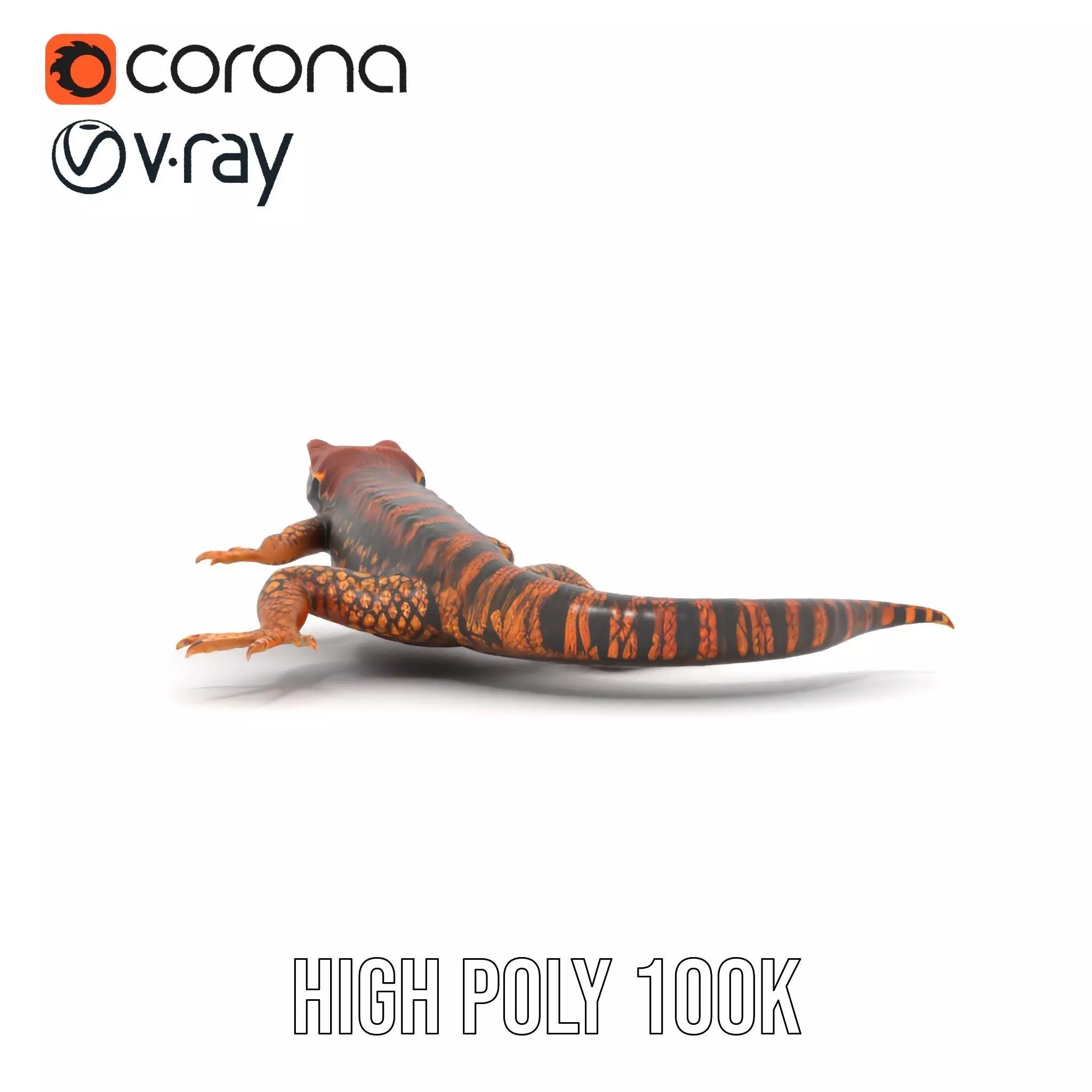 Striped Lizard Model Pack Low-poly 3D model_29
