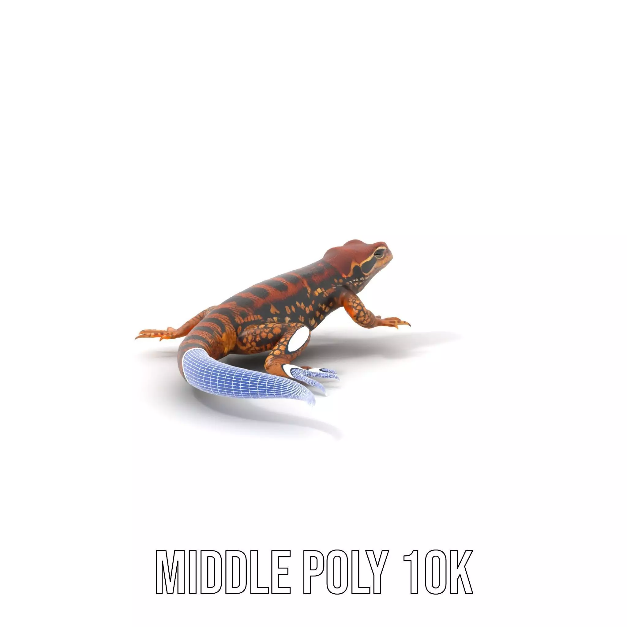 Striped Lizard Model Pack Low-poly 3D model_19