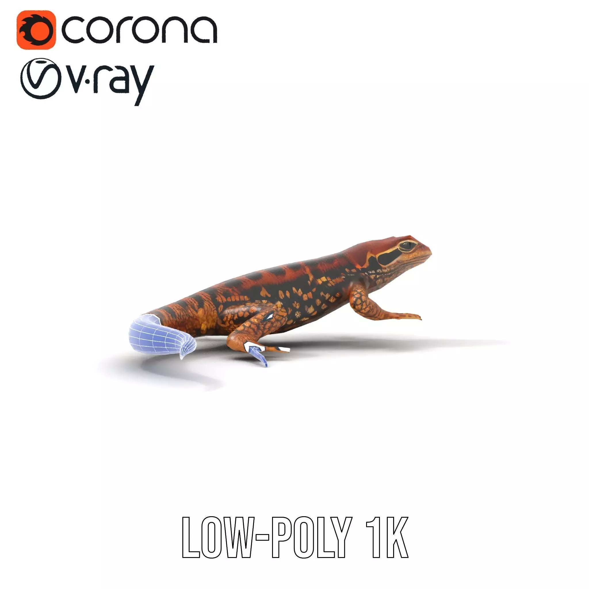 Striped Lizard Model Pack Low-poly 3D model_28